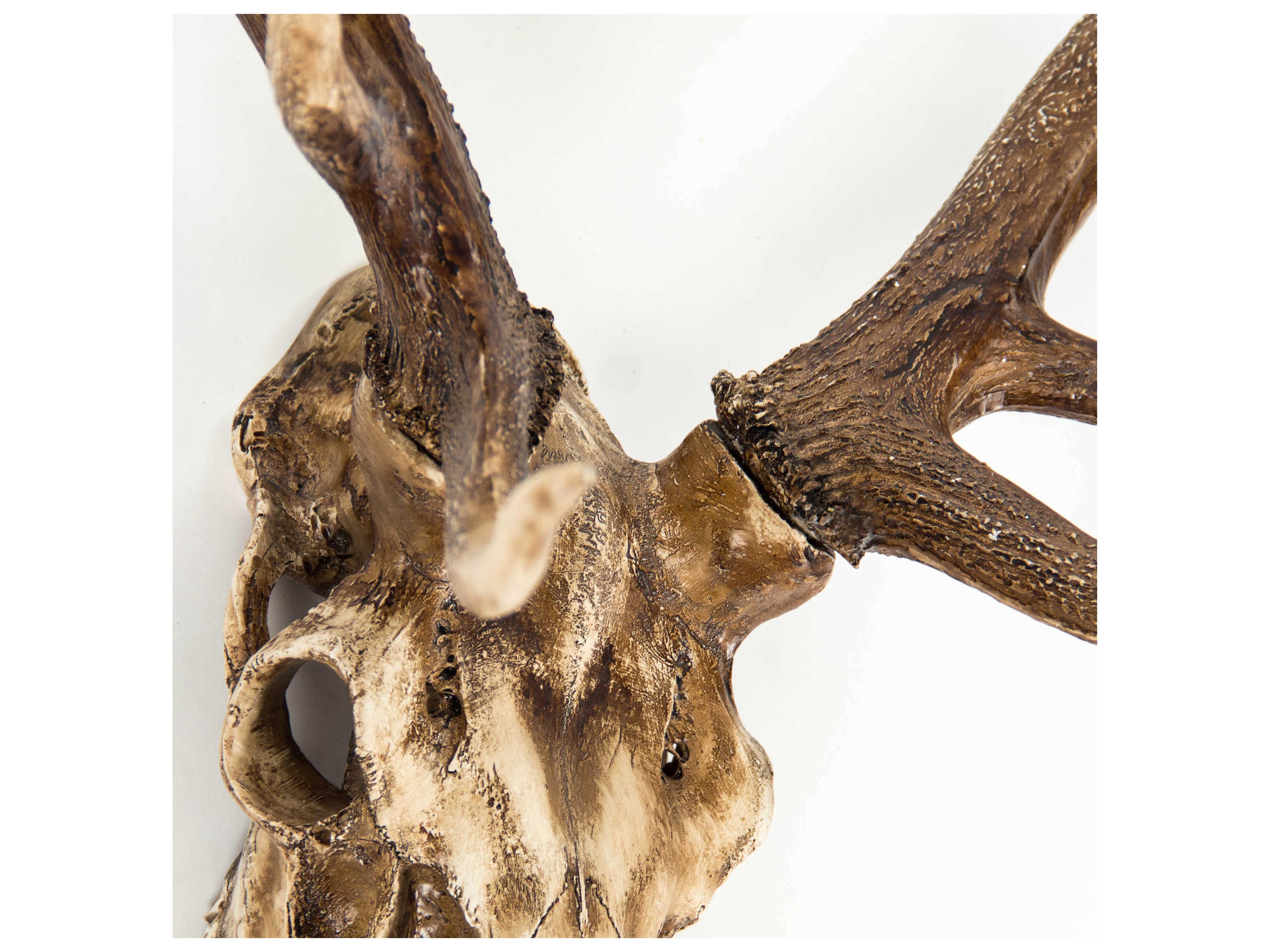 Zentique Weathered / Distressed Brown Deer Skull 3D Wall Art