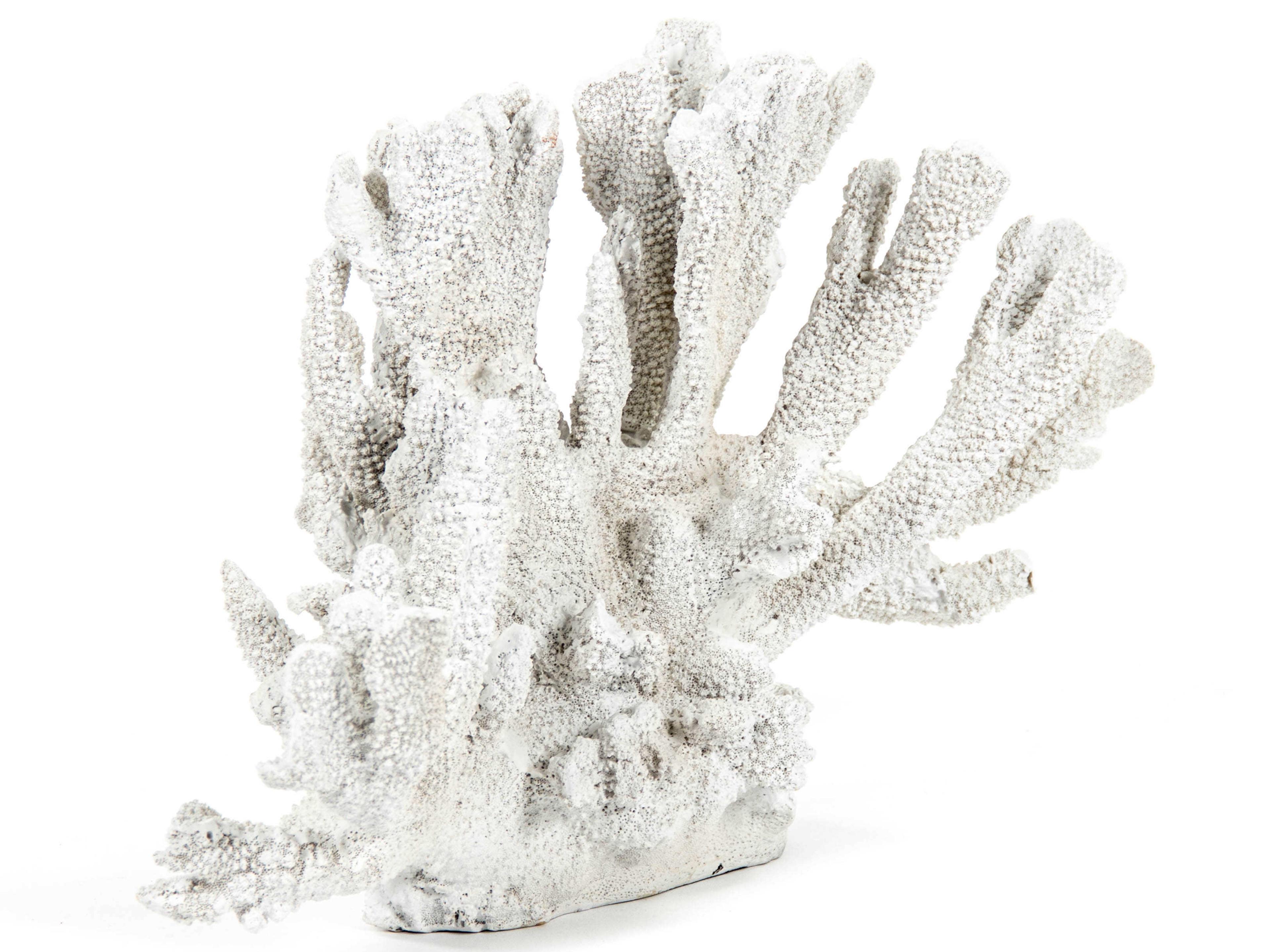 Zentique Distressed White Coral