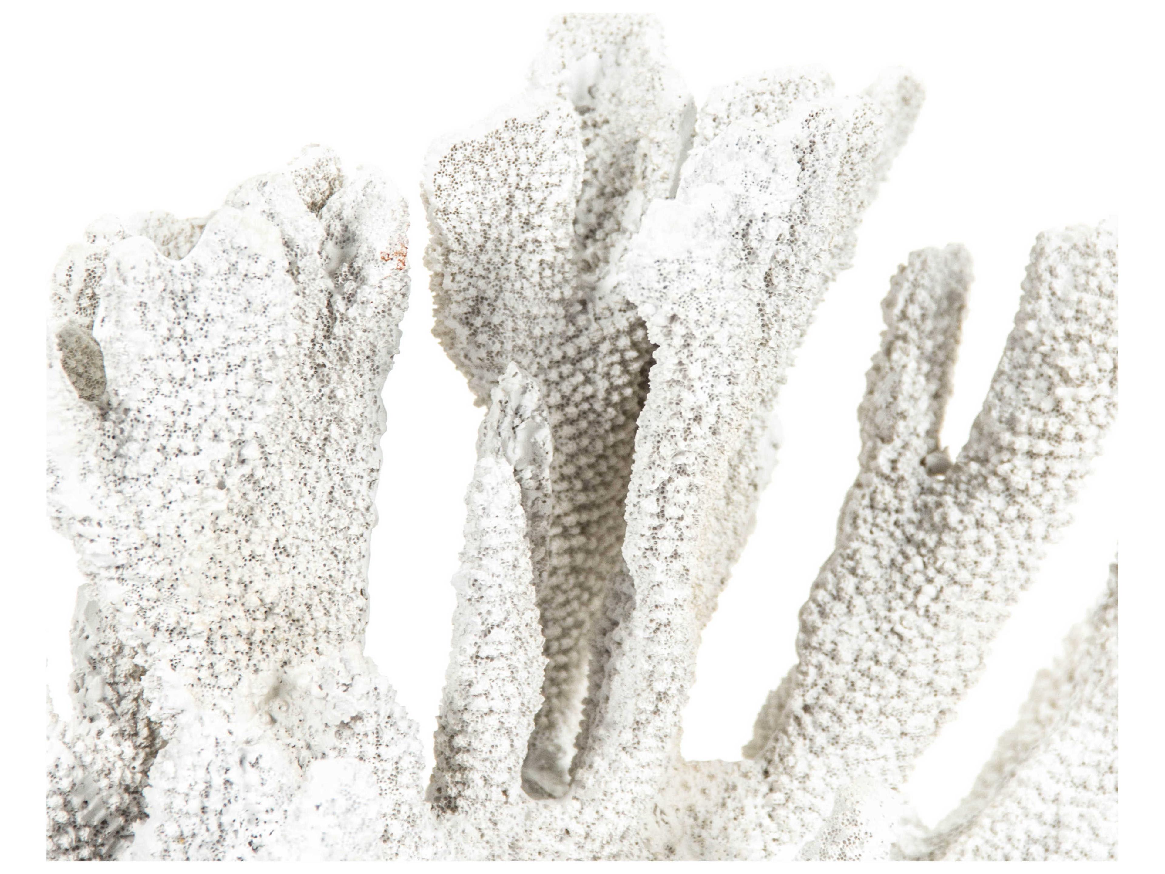 Zentique Distressed White Coral