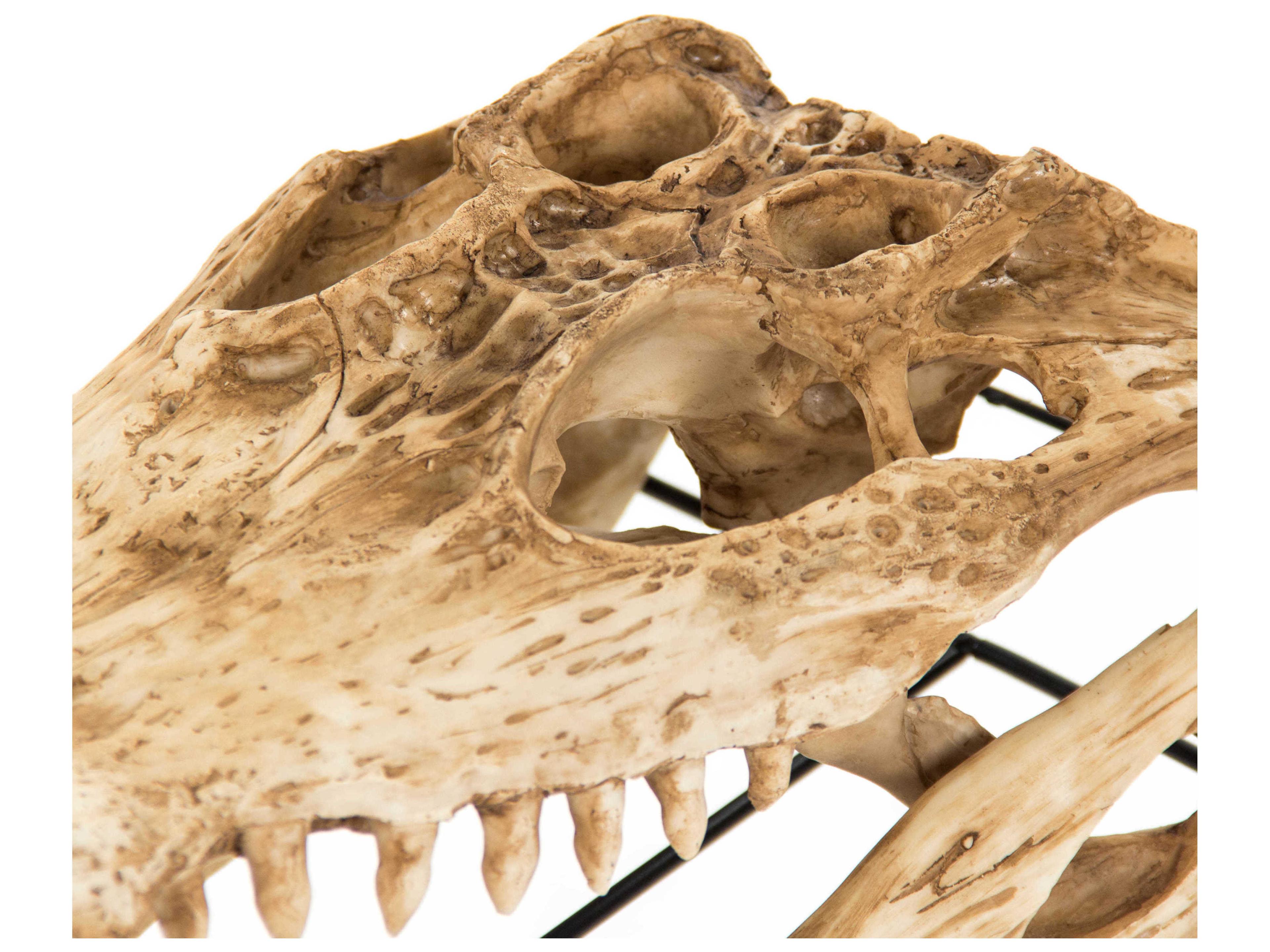 Zentique Antique Beige / Black Alligator Skull Sculpture