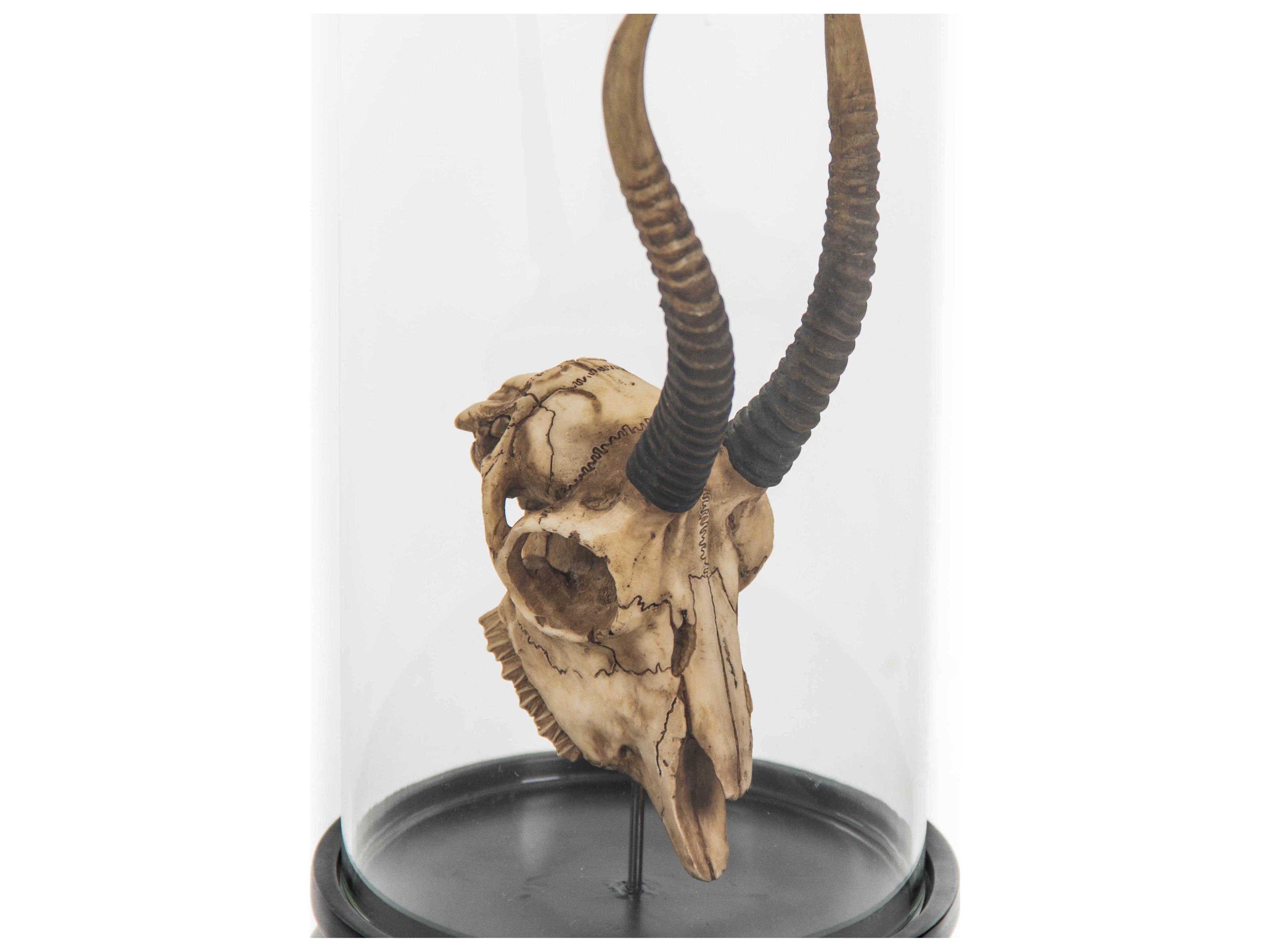 Zentique Antique Off-White / Black Gazelle Skull Sculpture