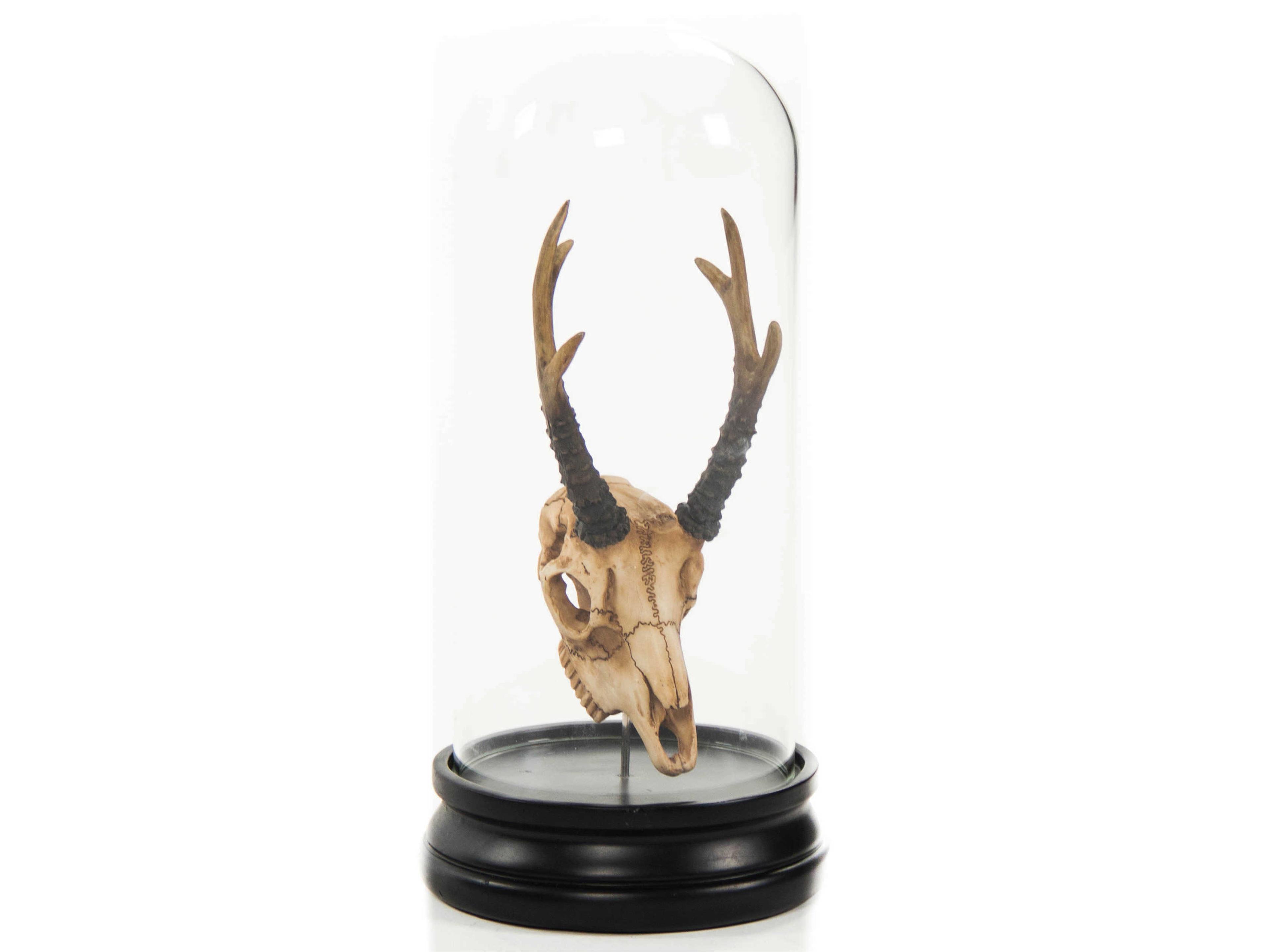 Zentique Antique Off-White / Black Fawn Skull Sculpture