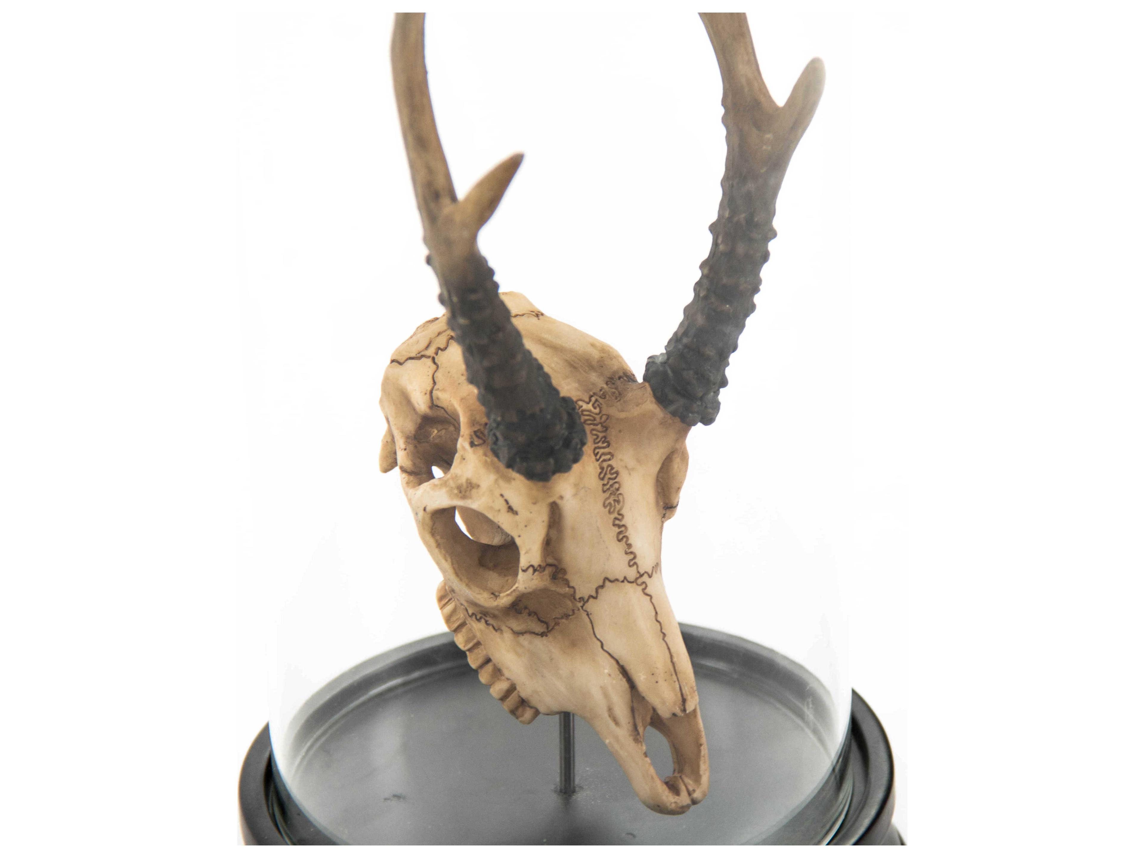 Zentique Antique Off-White / Black Fawn Skull Sculpture
