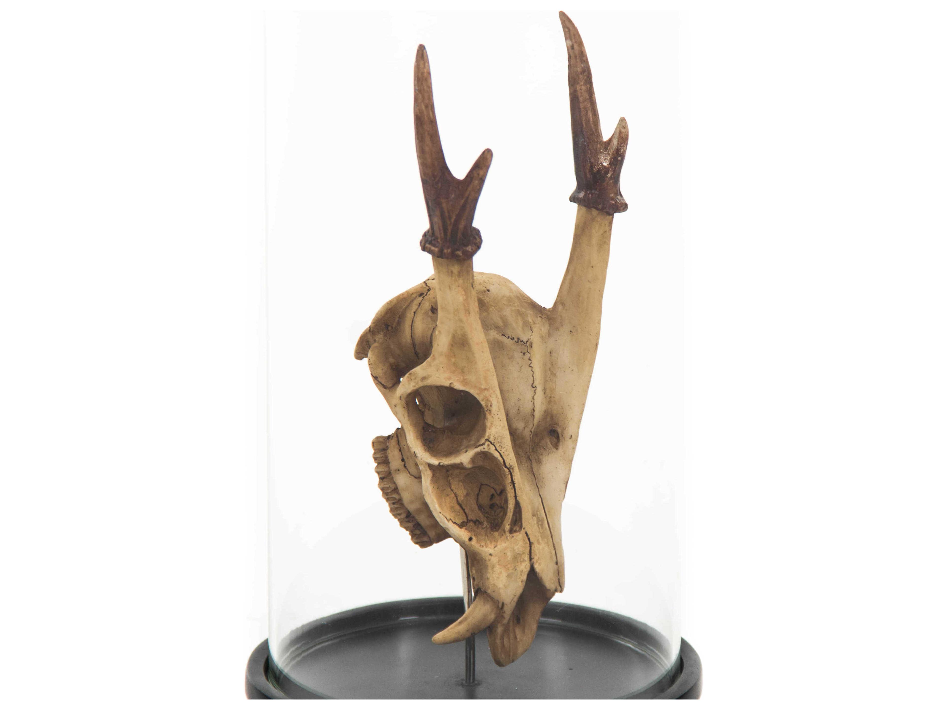 Zentique Antique Off-White / Black Fawn Skull Sculpture