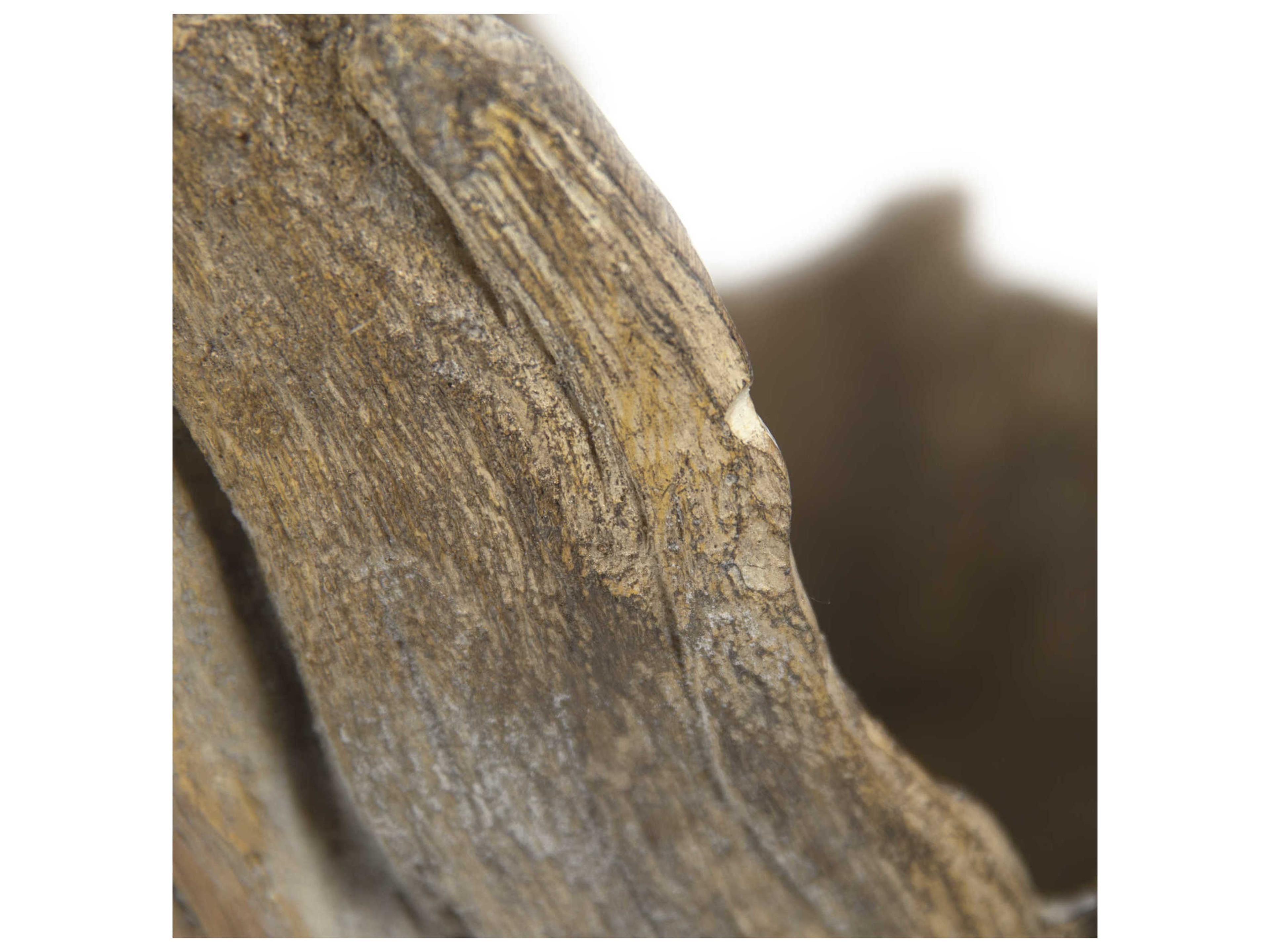 Zentique Distressed Brown 16" High Wooden Sculpture