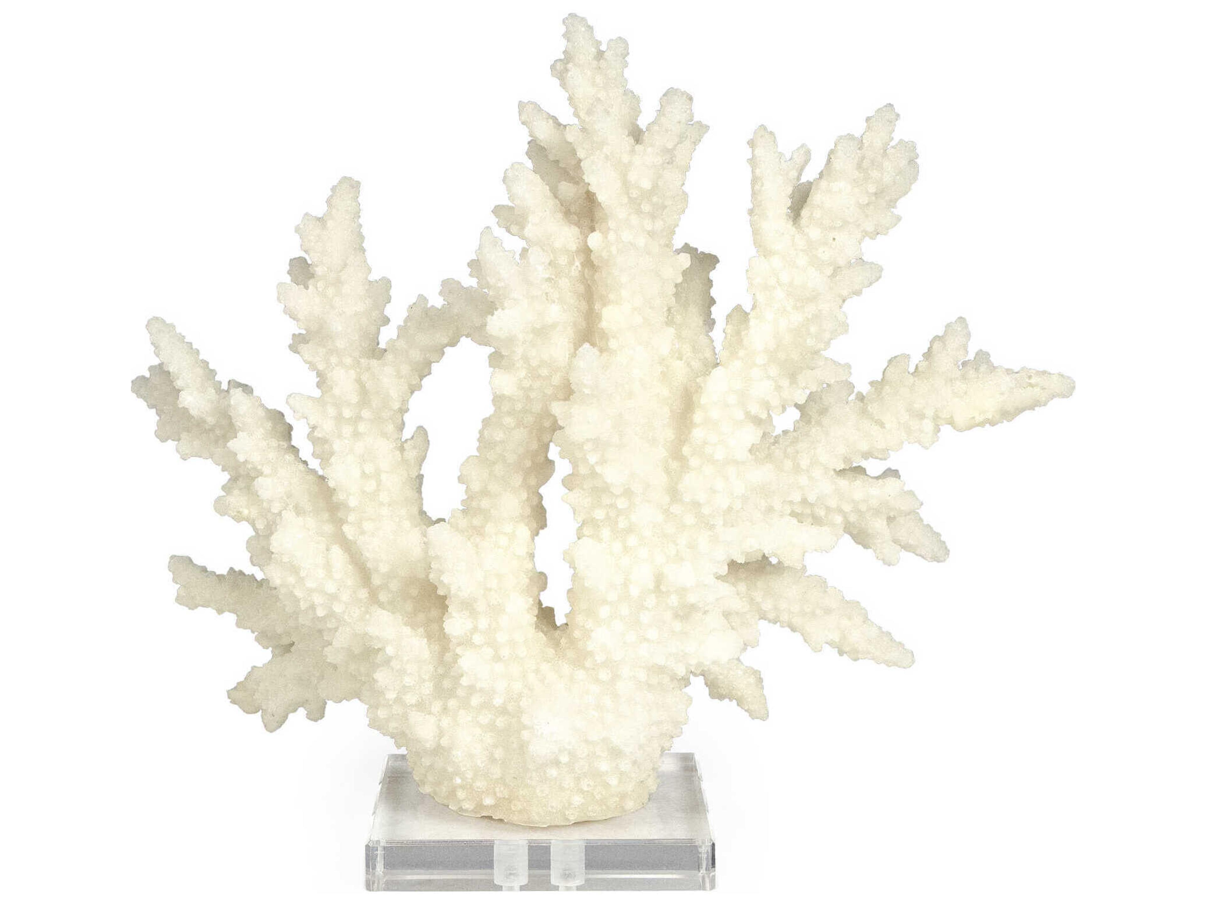 White Coral Decorative Plate