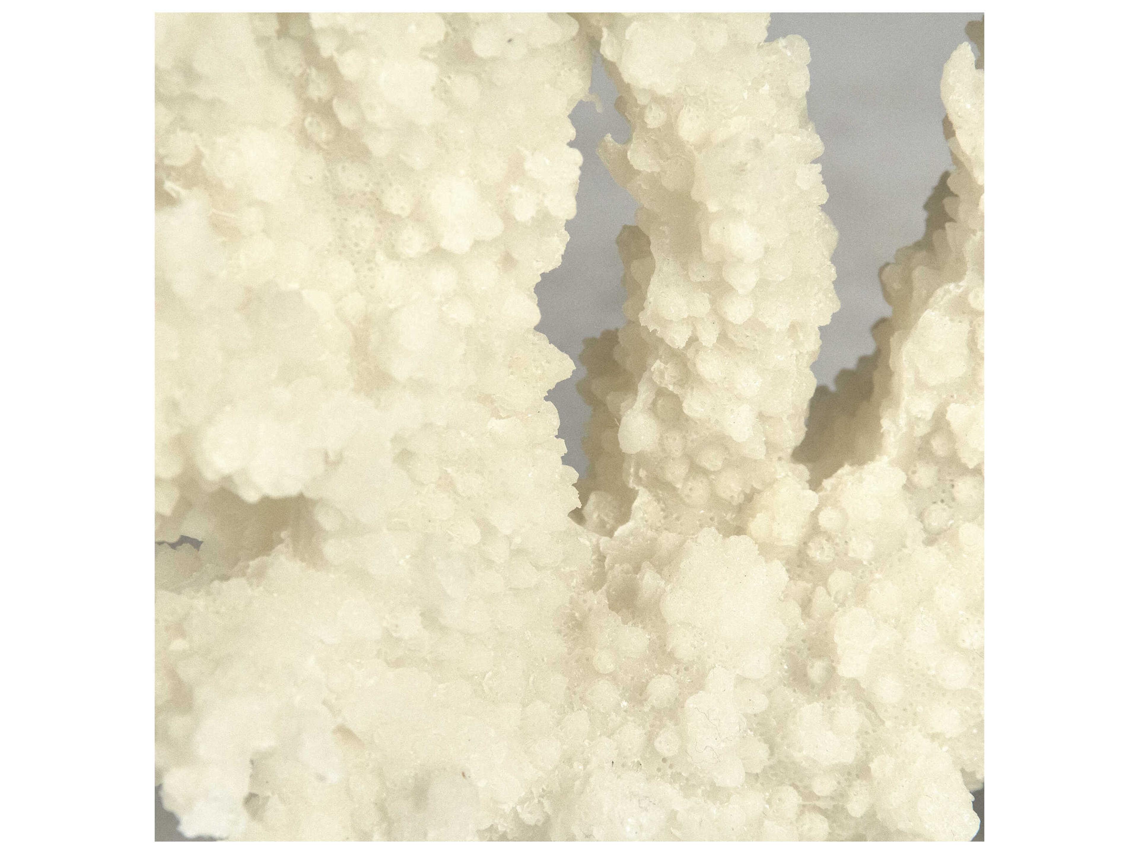 Zentique White Coral Decorative Plate