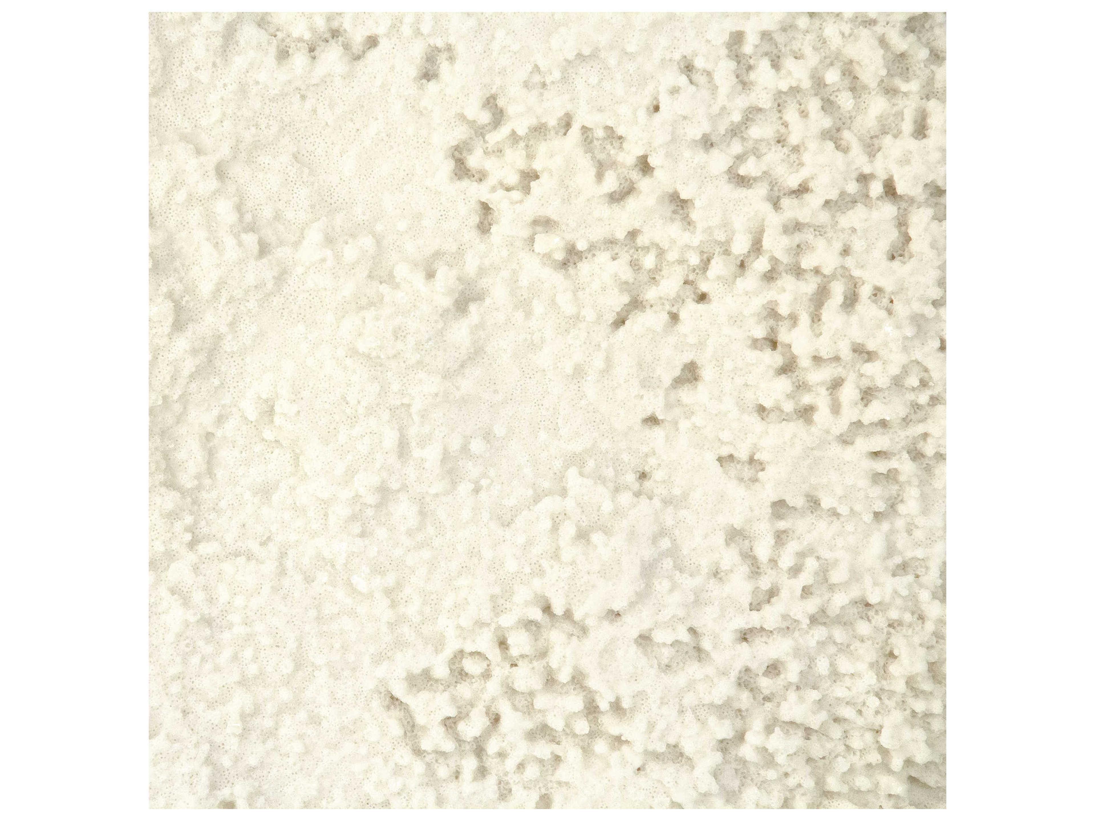 Zentique Off-White / Distressed Gold Coral Sculpture