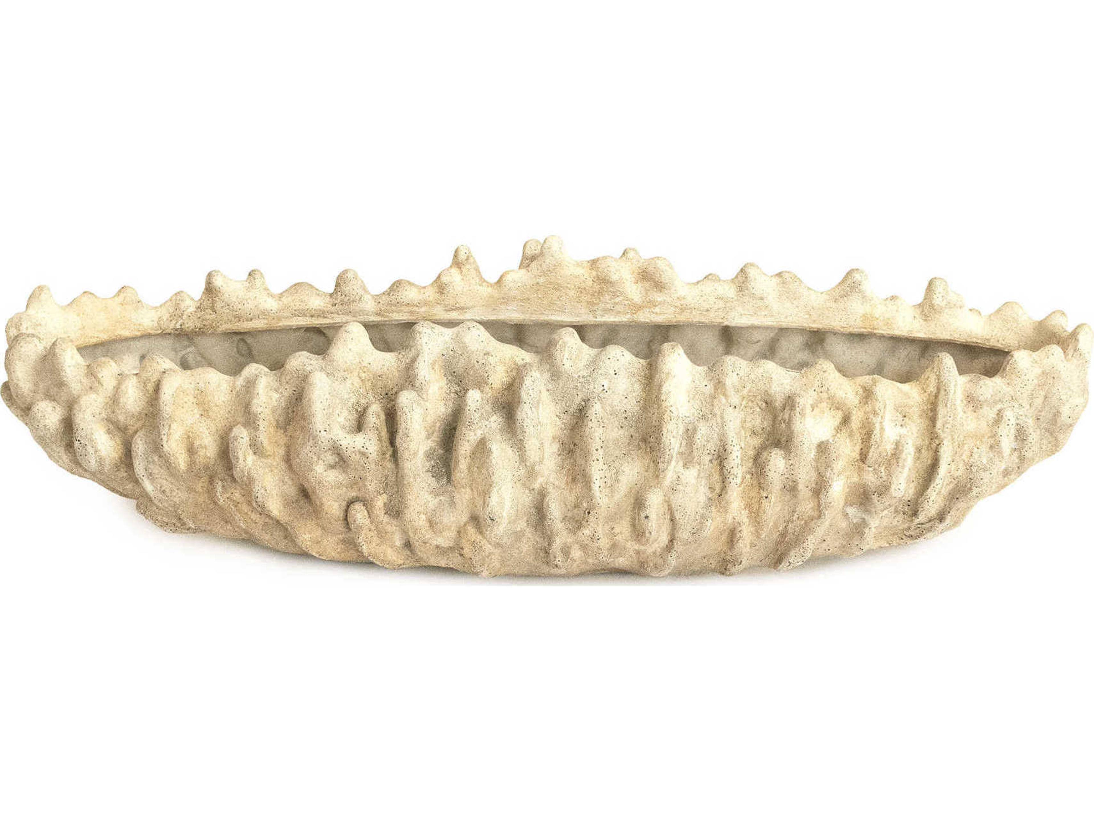 Zentique Distressed Beige Coral Shell Decorative Bowl