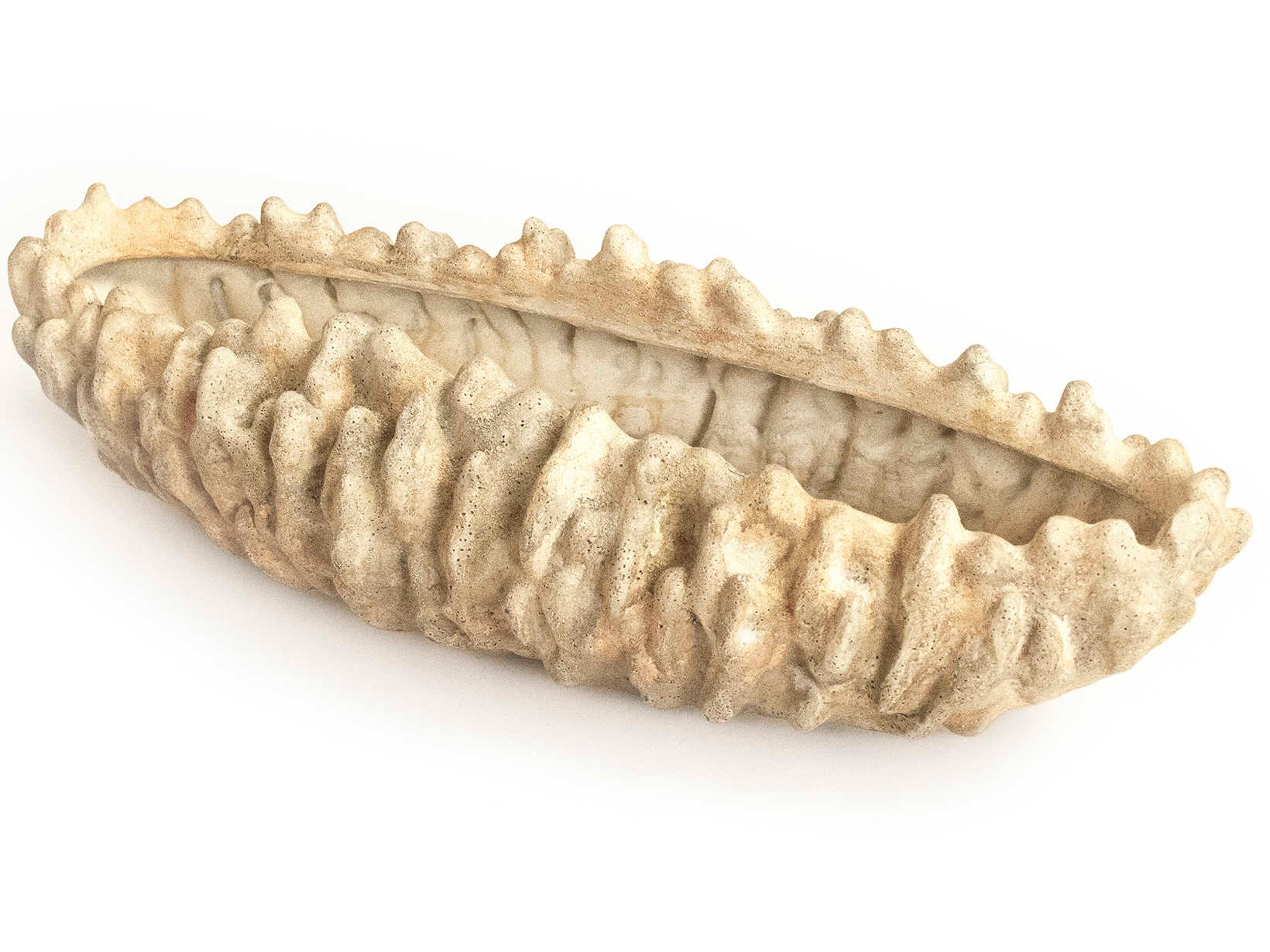 Zentique Distressed Beige Coral Shell Decorative Bowl