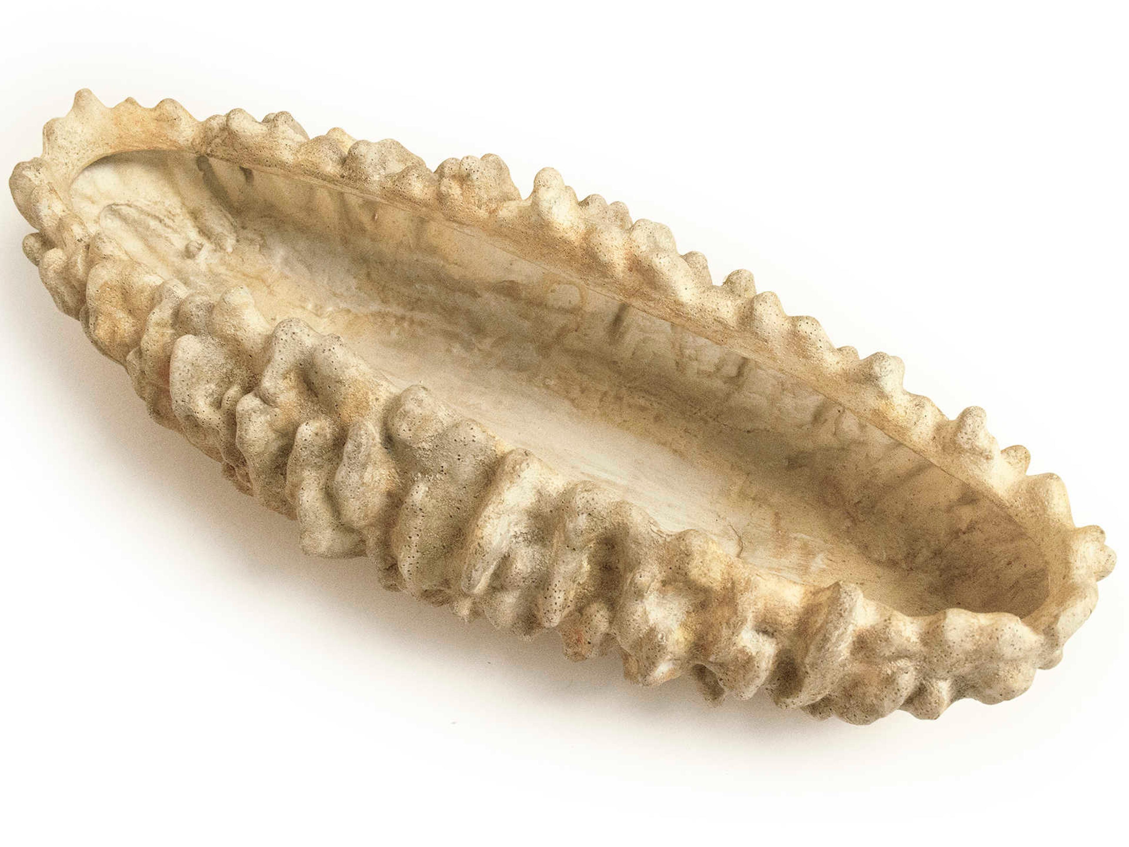 Zentique Distressed Beige Coral Shell Decorative Bowl