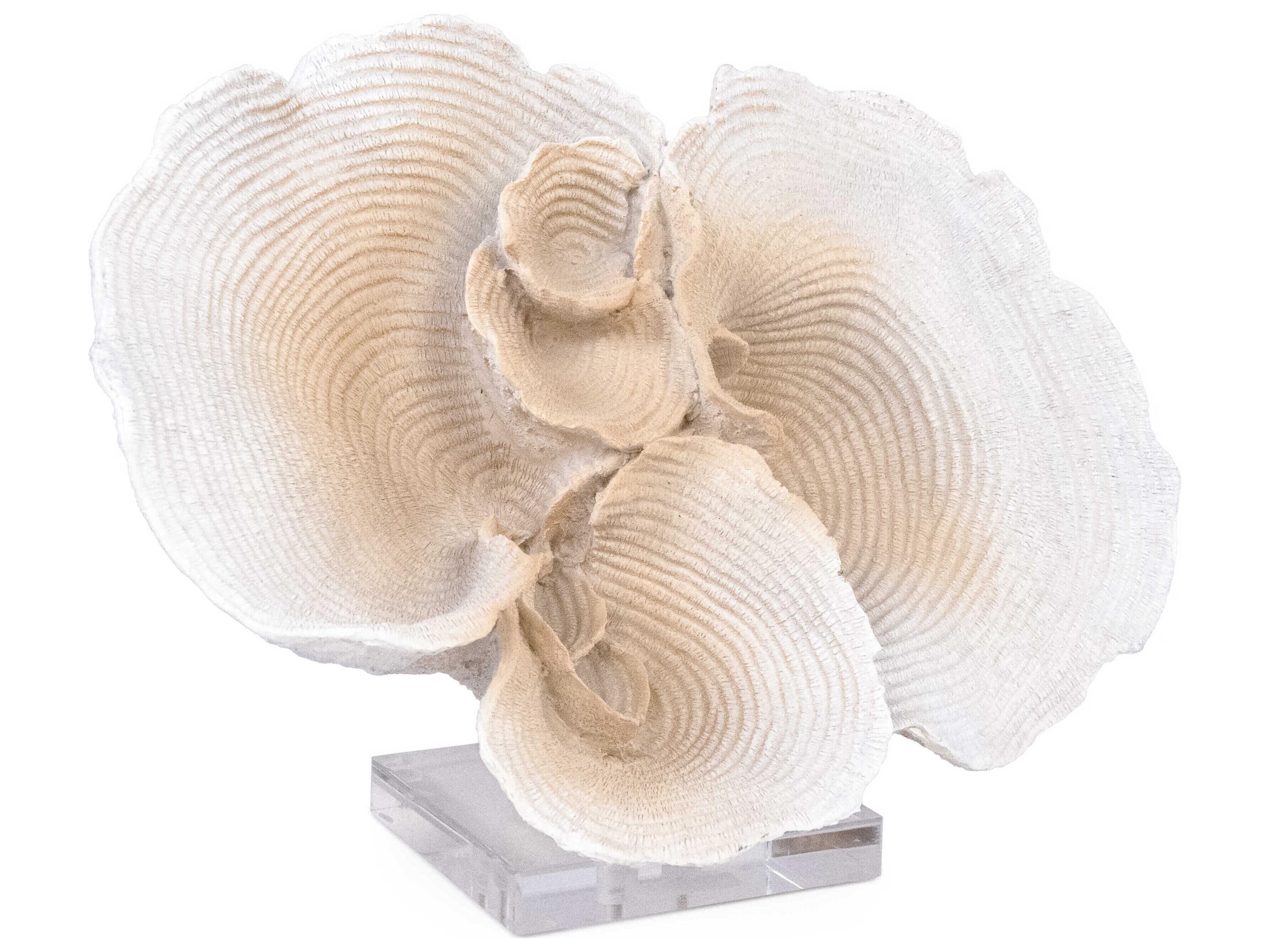 Zentique Off-White Resin Coral Decorative Accent