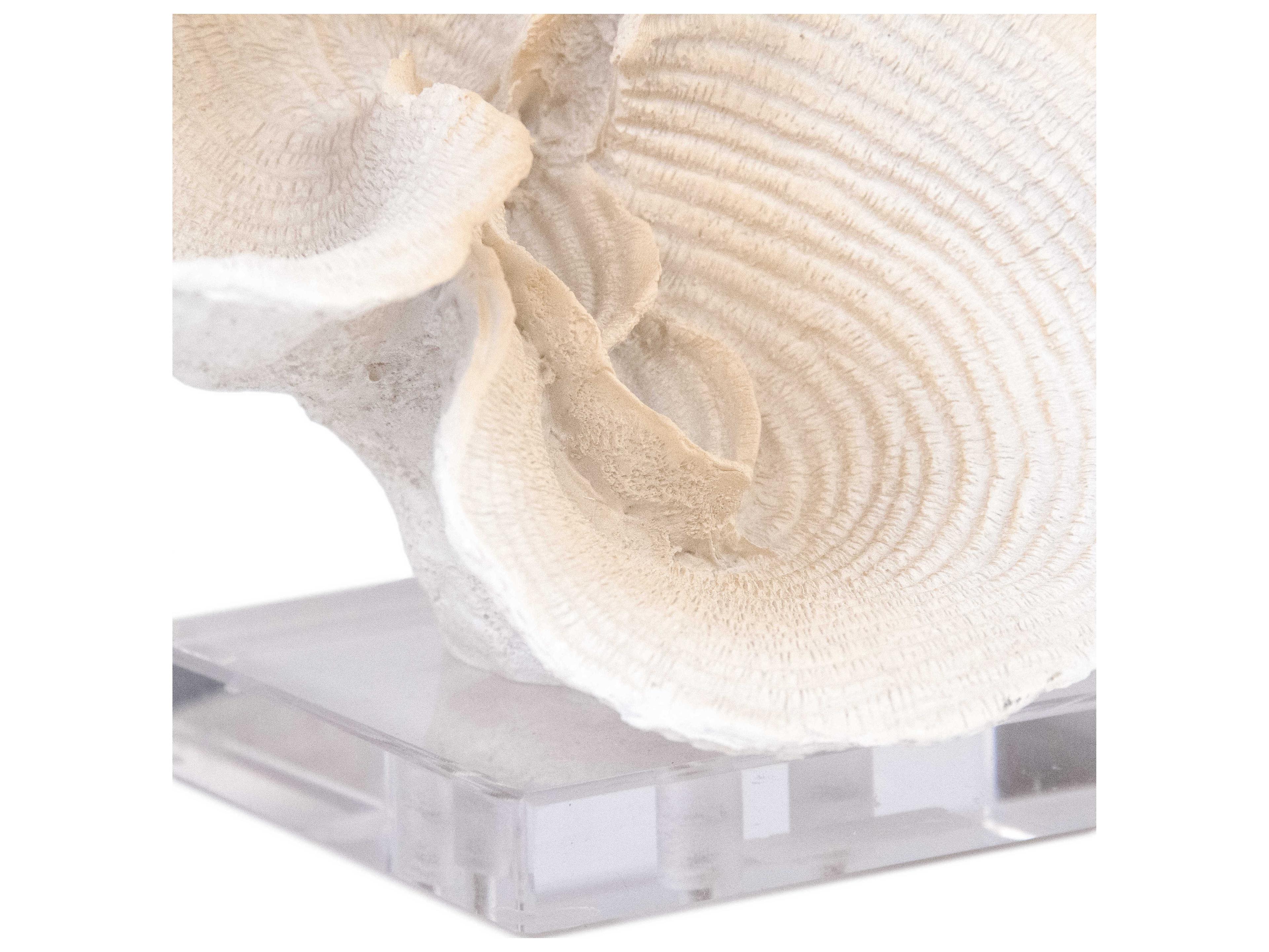 Zentique Off-White Resin Coral Decorative Accent