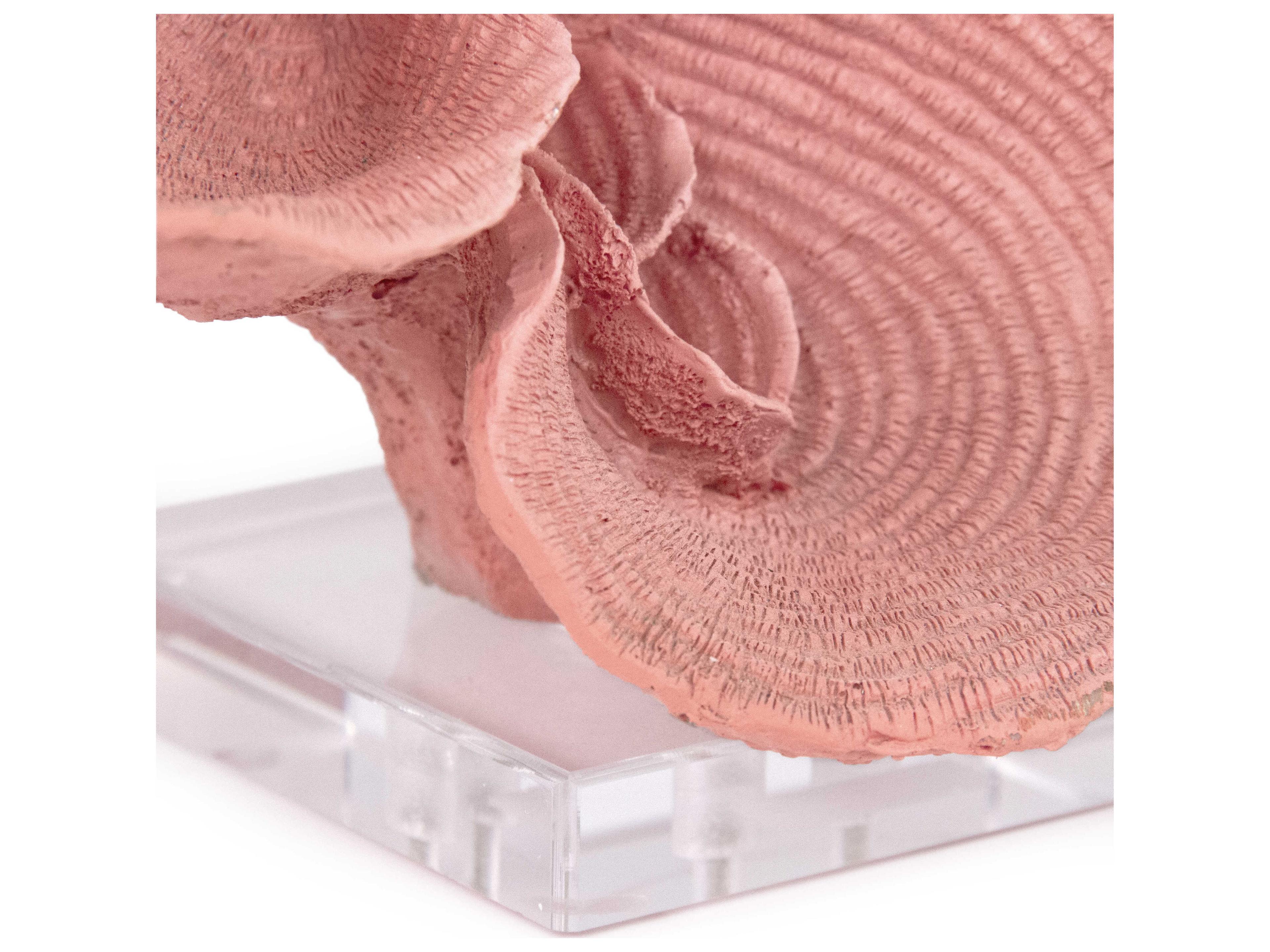 Zentique Coral on Acrylic Base Distressed Ombre Pink Decorative Accent