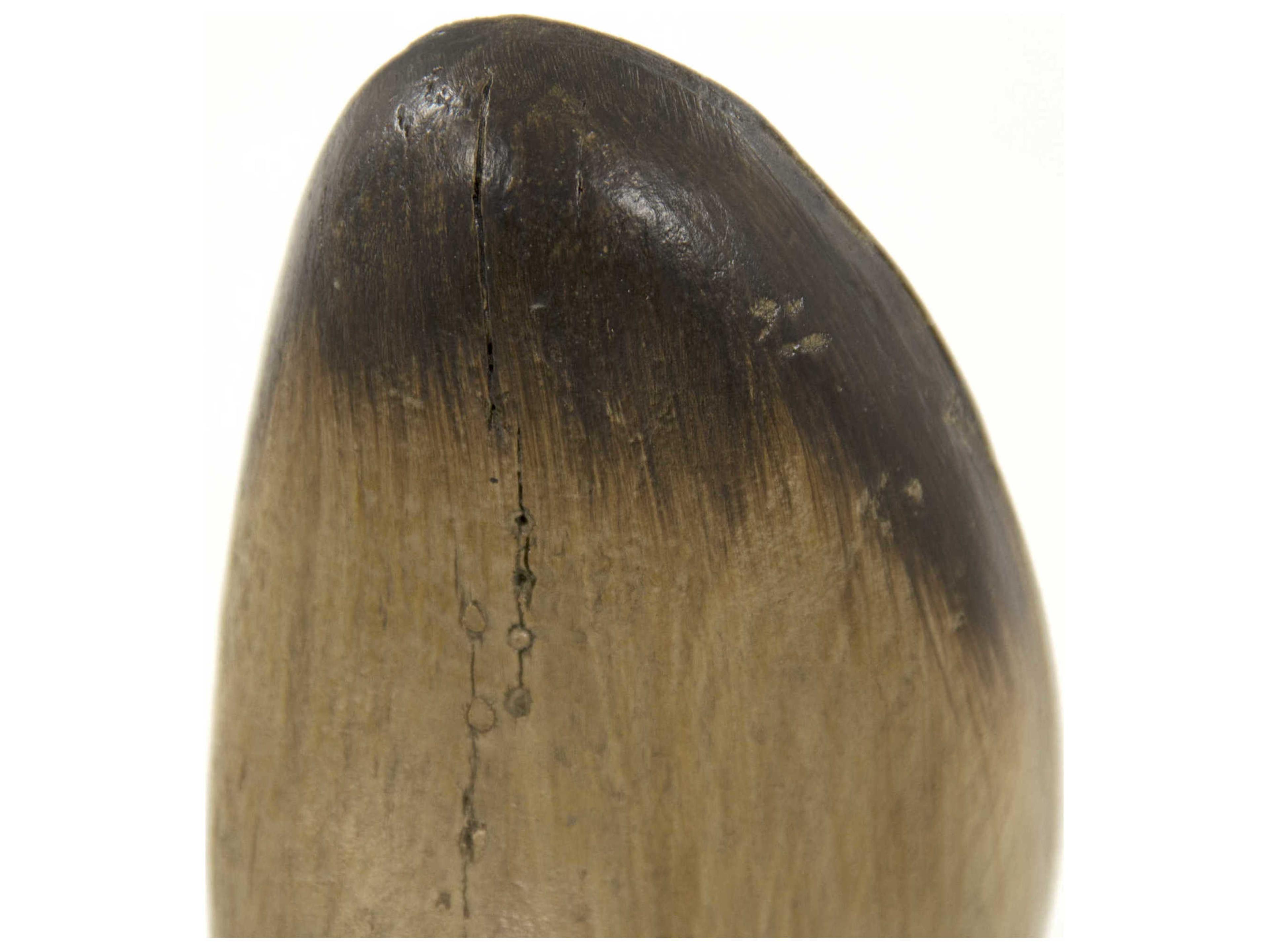 Zentique Tan / Black Dark Brown Resin Shoe Bookends