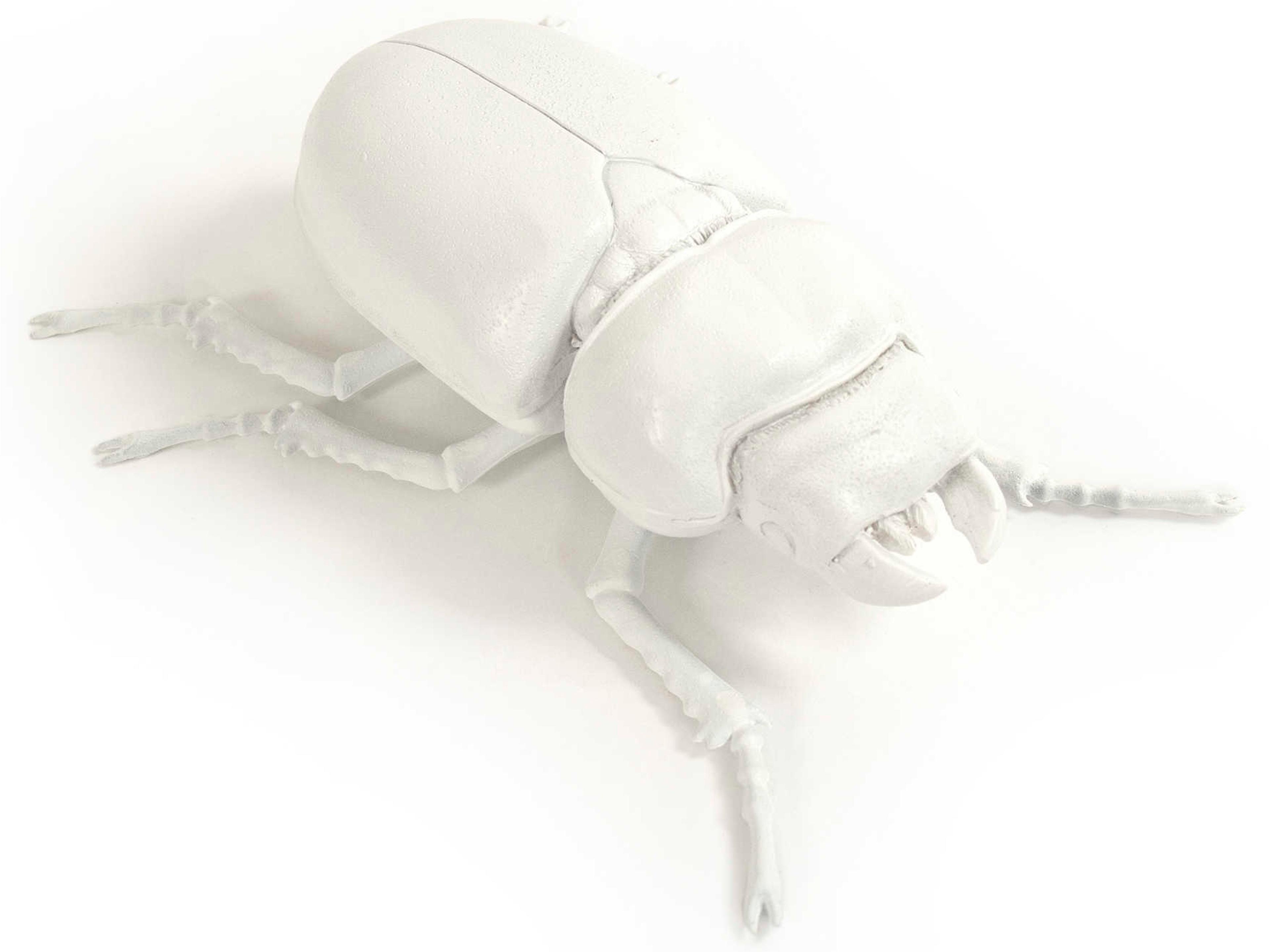 Zentique White Resin Beetle 3D Wall Art