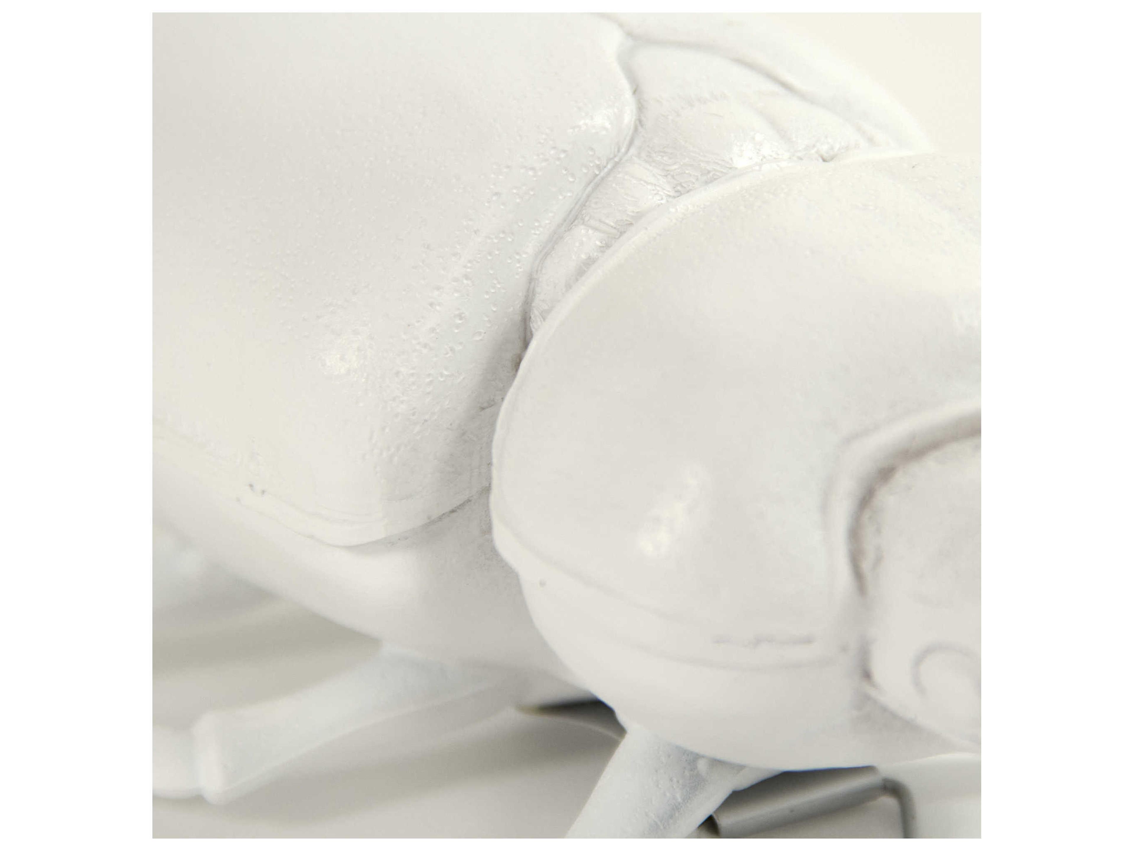 Zentique White Resin Beetle 3D Wall Art