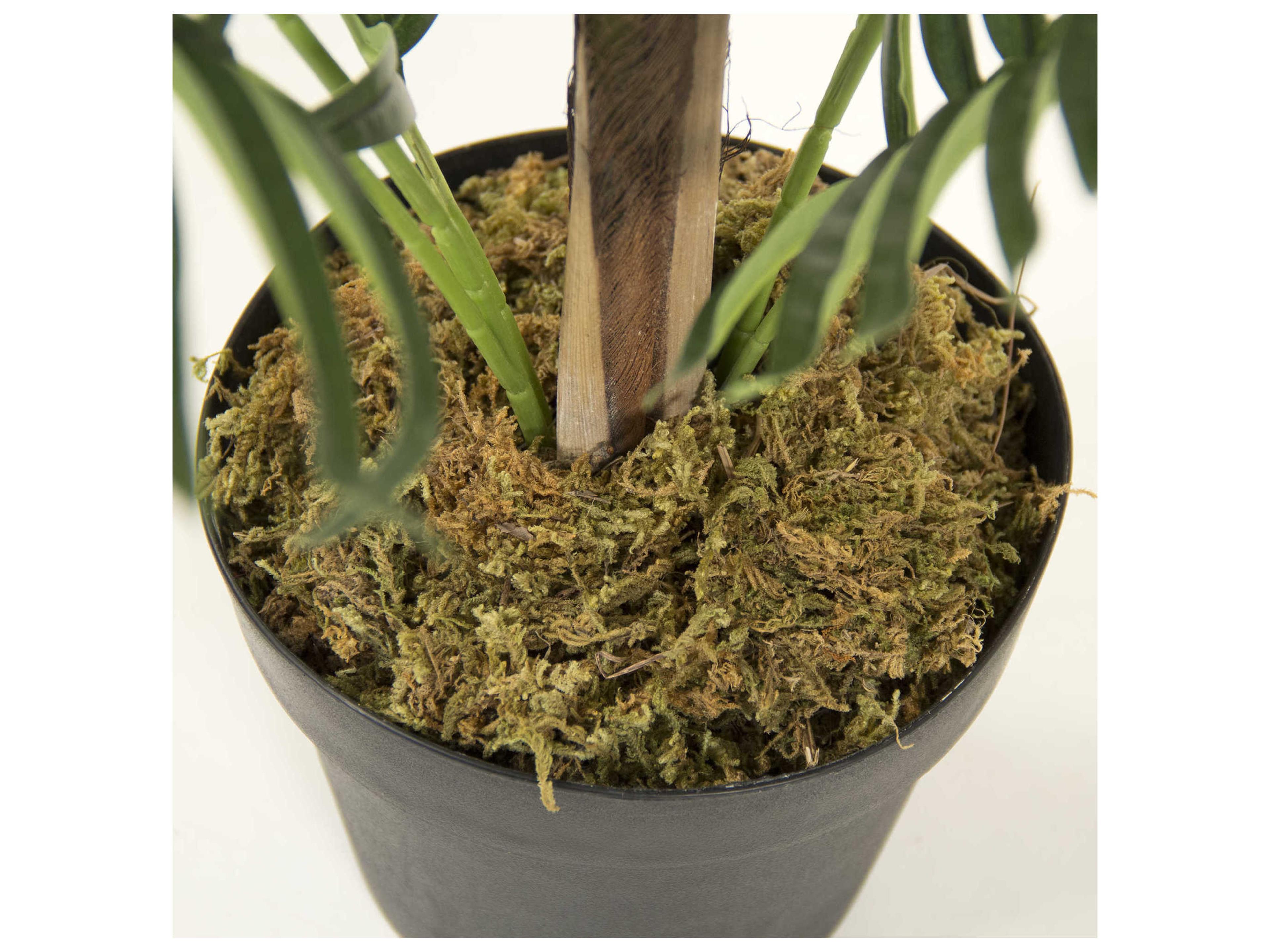 Zentique Green Black Botanical