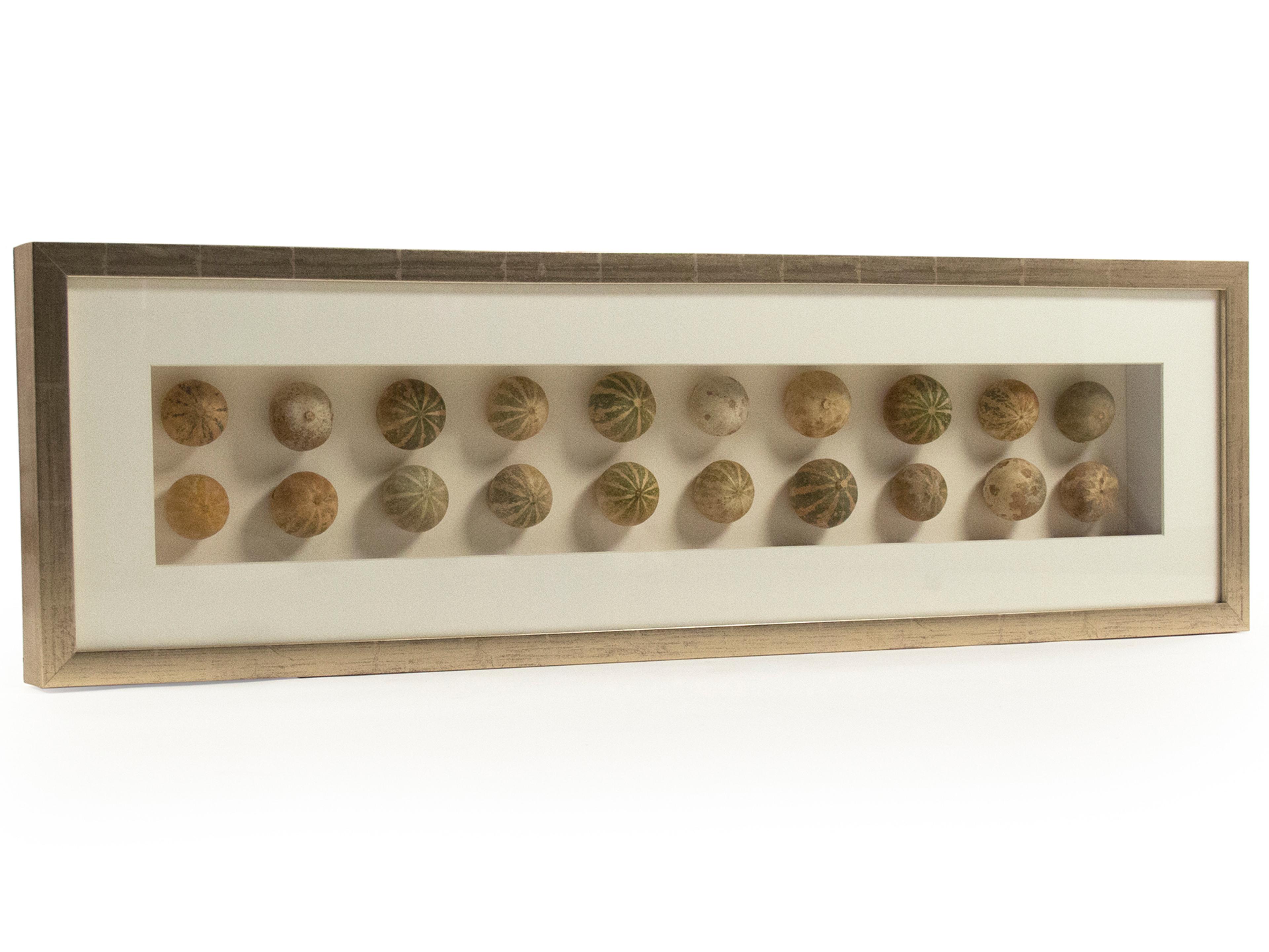 Zentique Abstract Shell Shadow Box