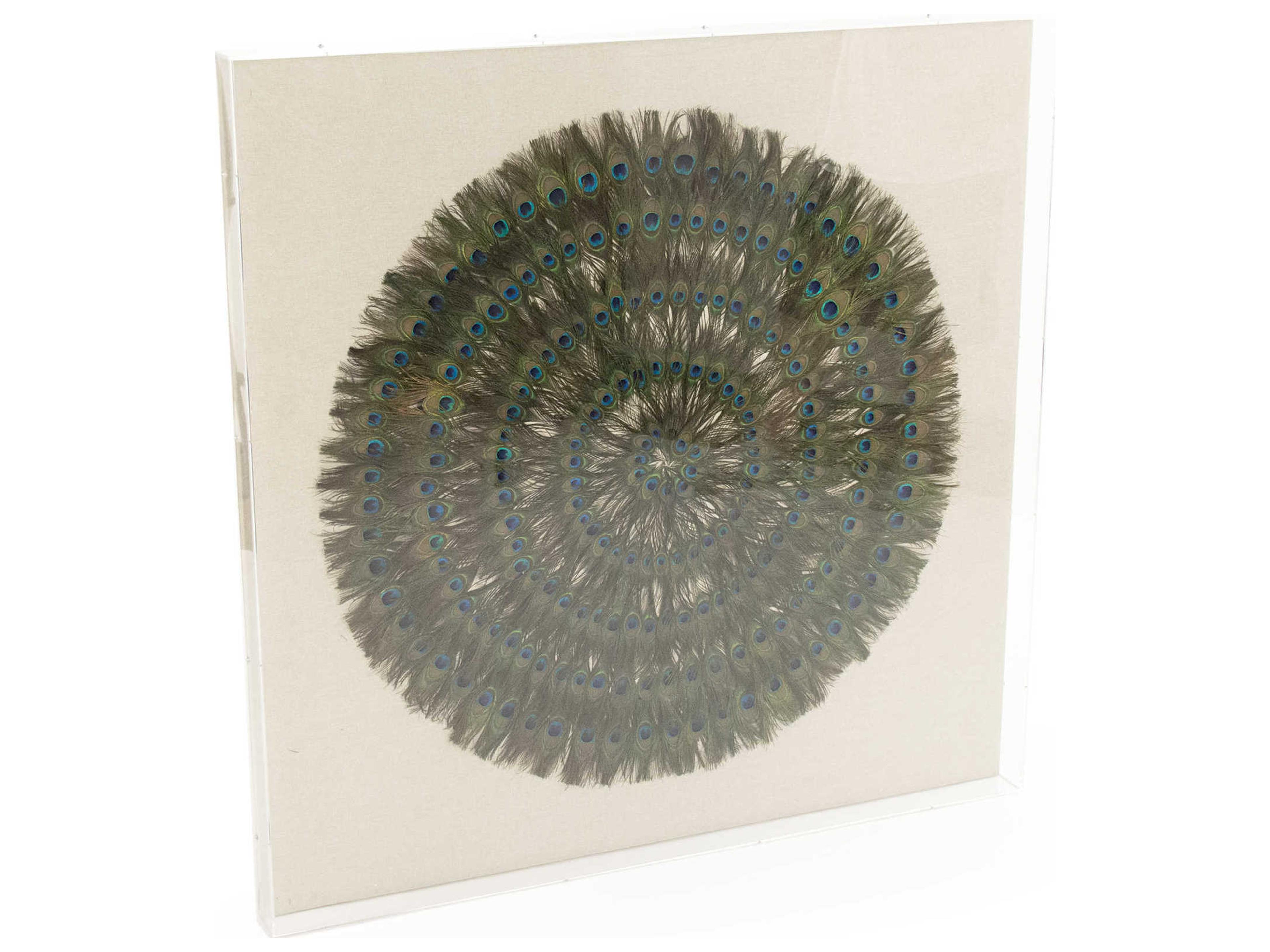 Zentique Circle Peacock Feathers Shadow Box