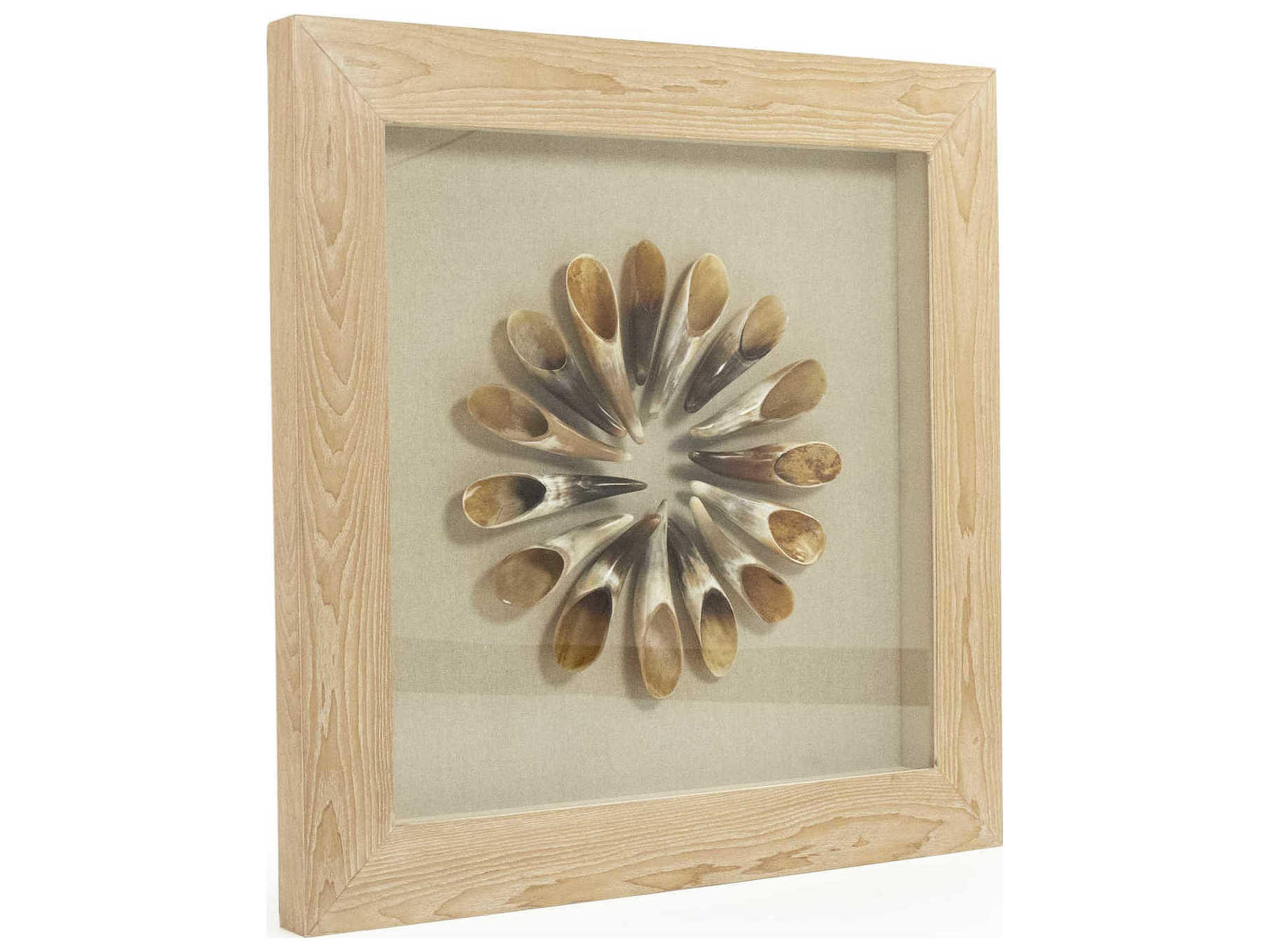 Zentique Ox Horn Shadow Box