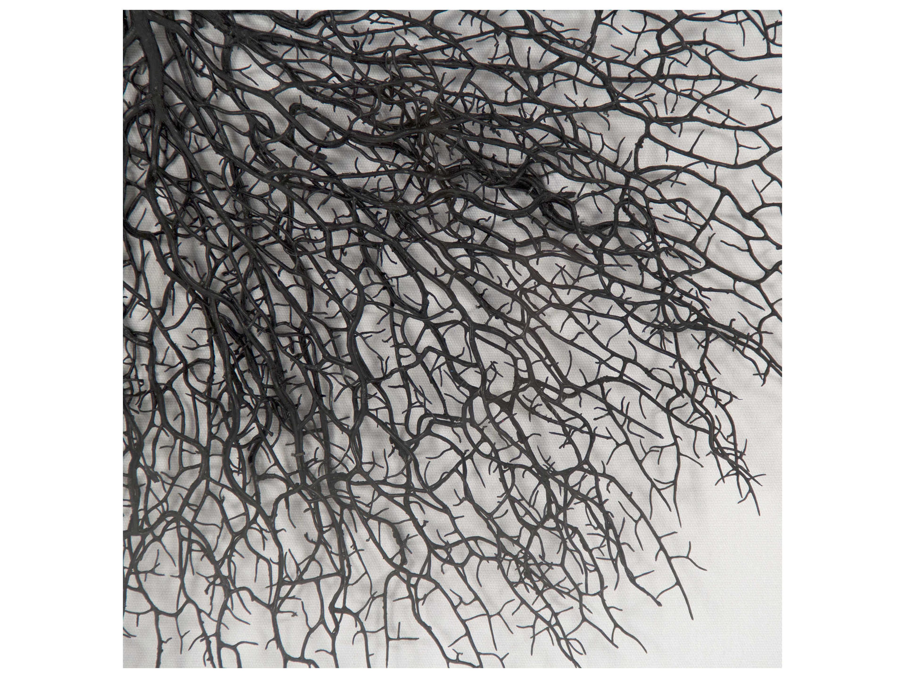 Zentique Abstract Black Branches Shadow Box
