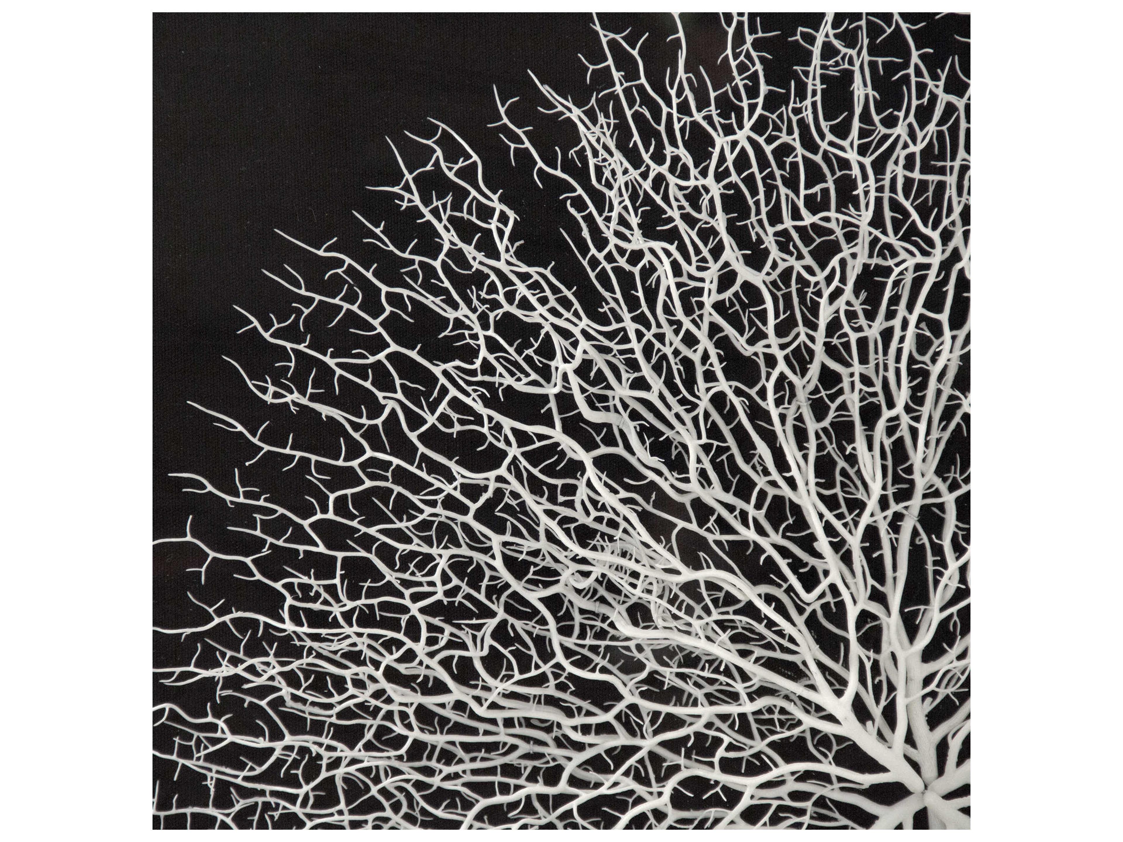 Zentique Abstract White Branches Shadow Box