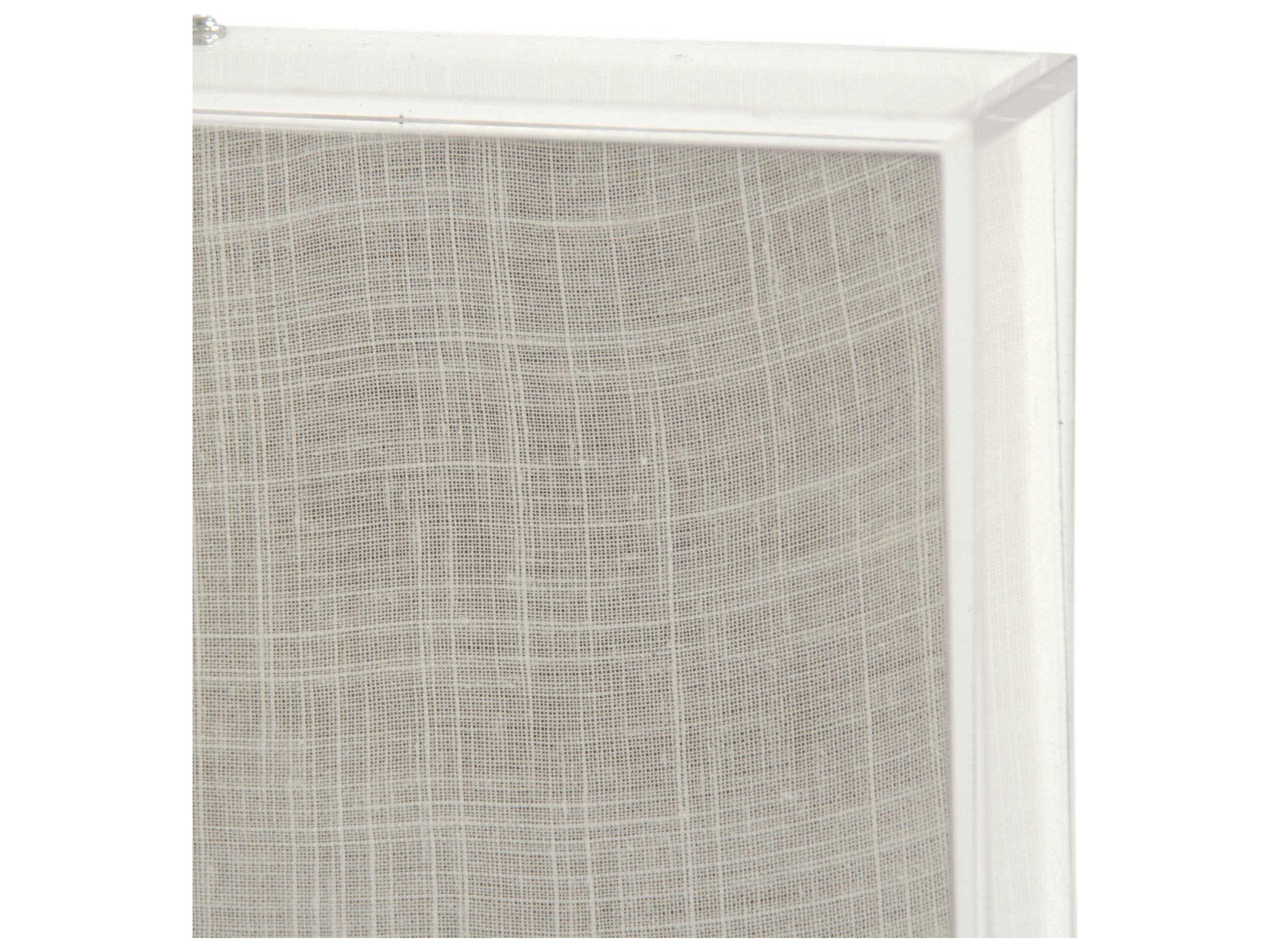 Zentique Gradient Circle Assorted Shells Shadow Box