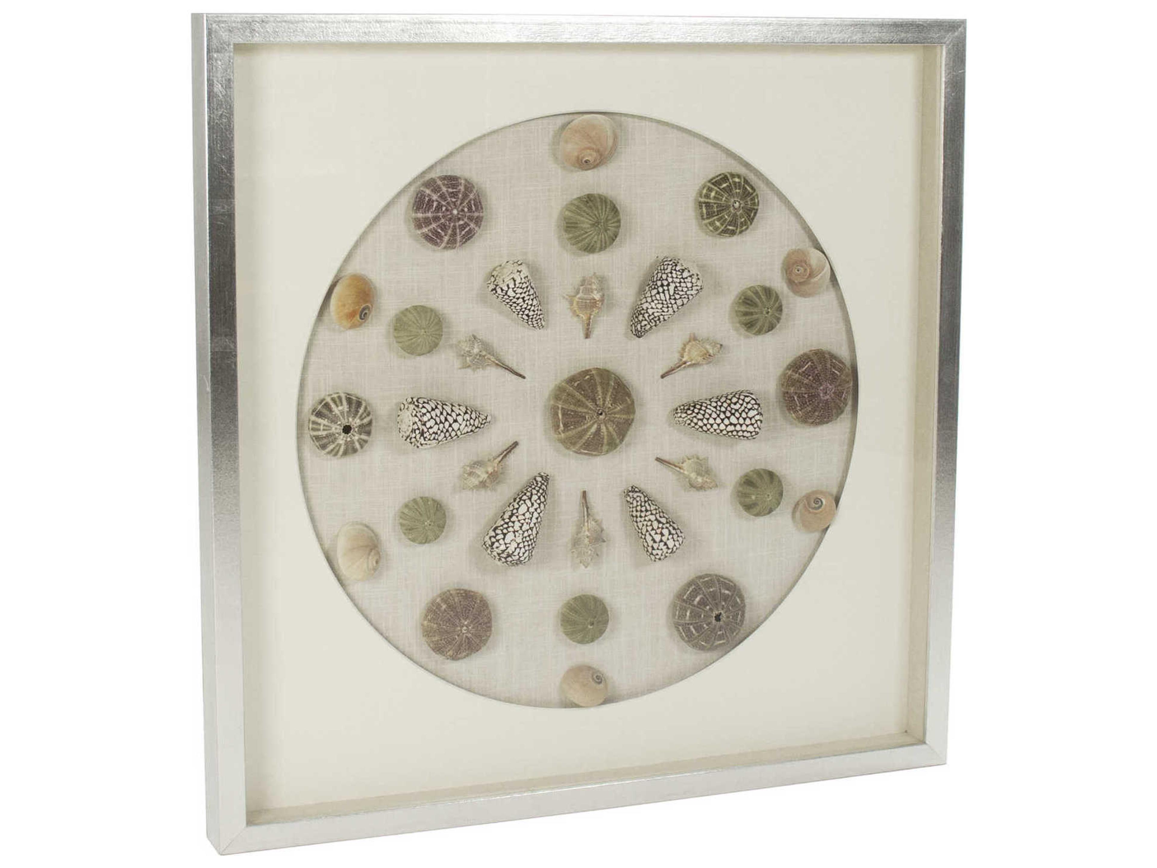 Zentique Assorted Shells Shadow Box