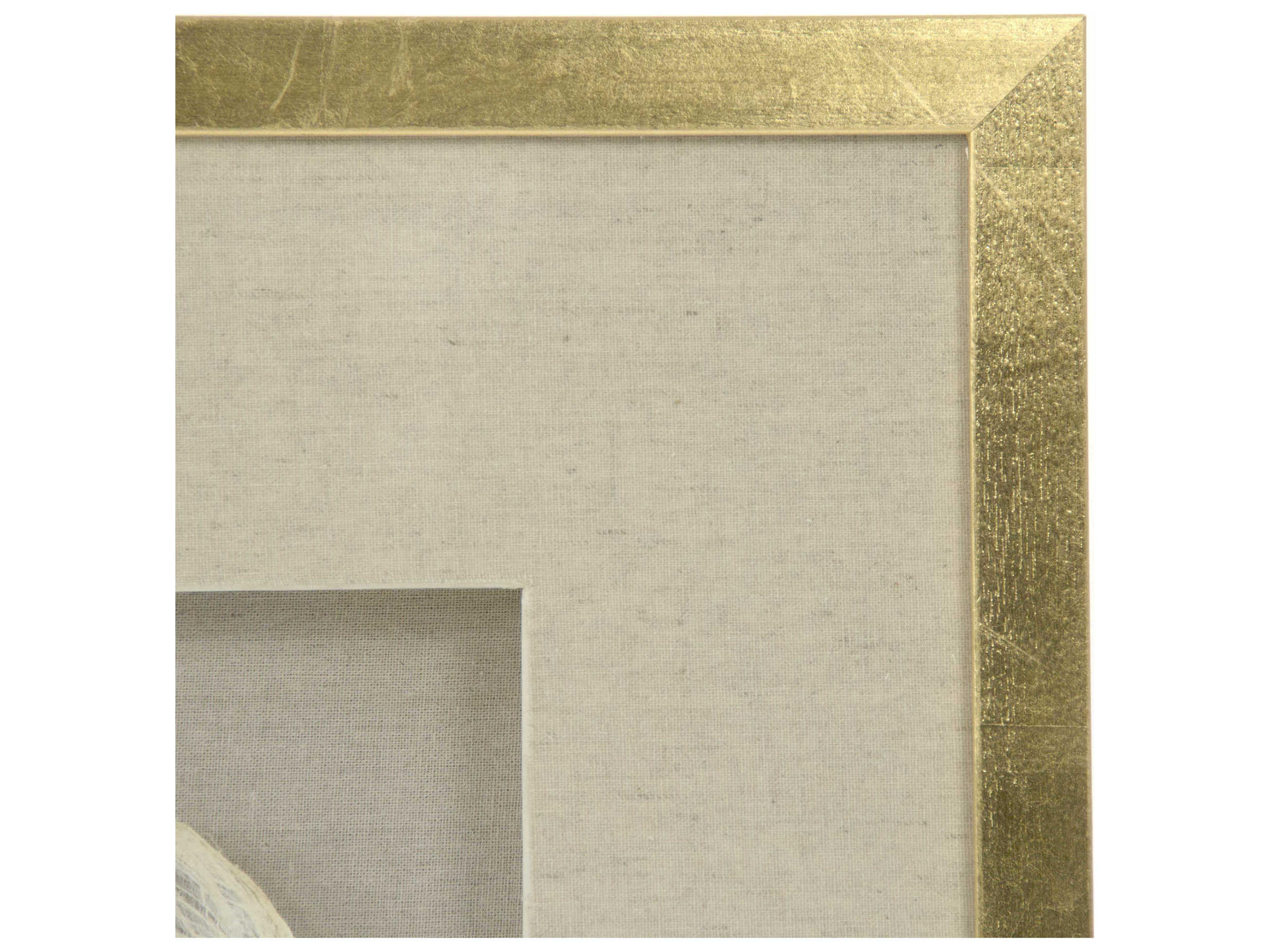 Zentique Abstract Shell Shadow Box