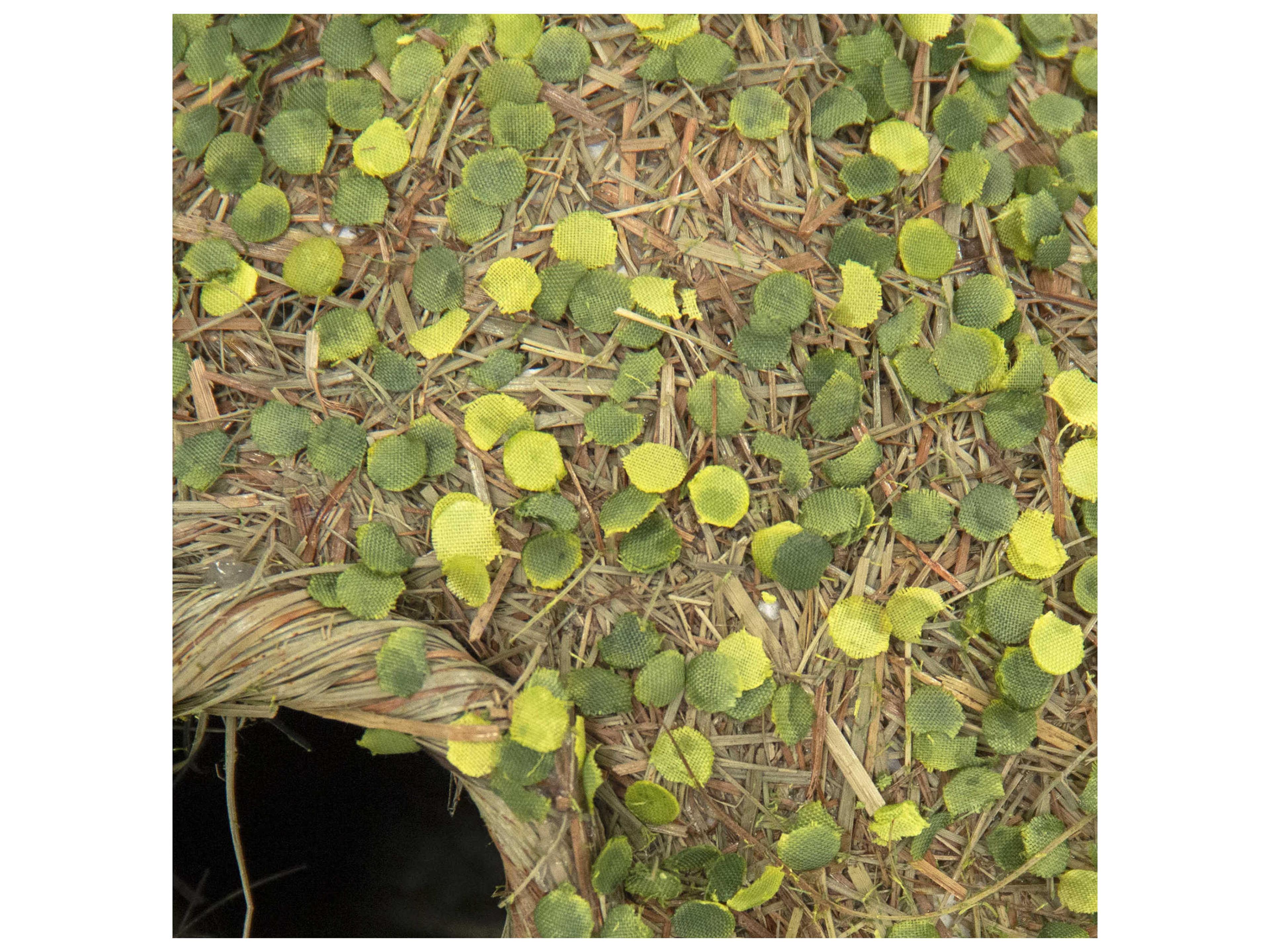 Zentique Yellow Green Tan Decorative Accent