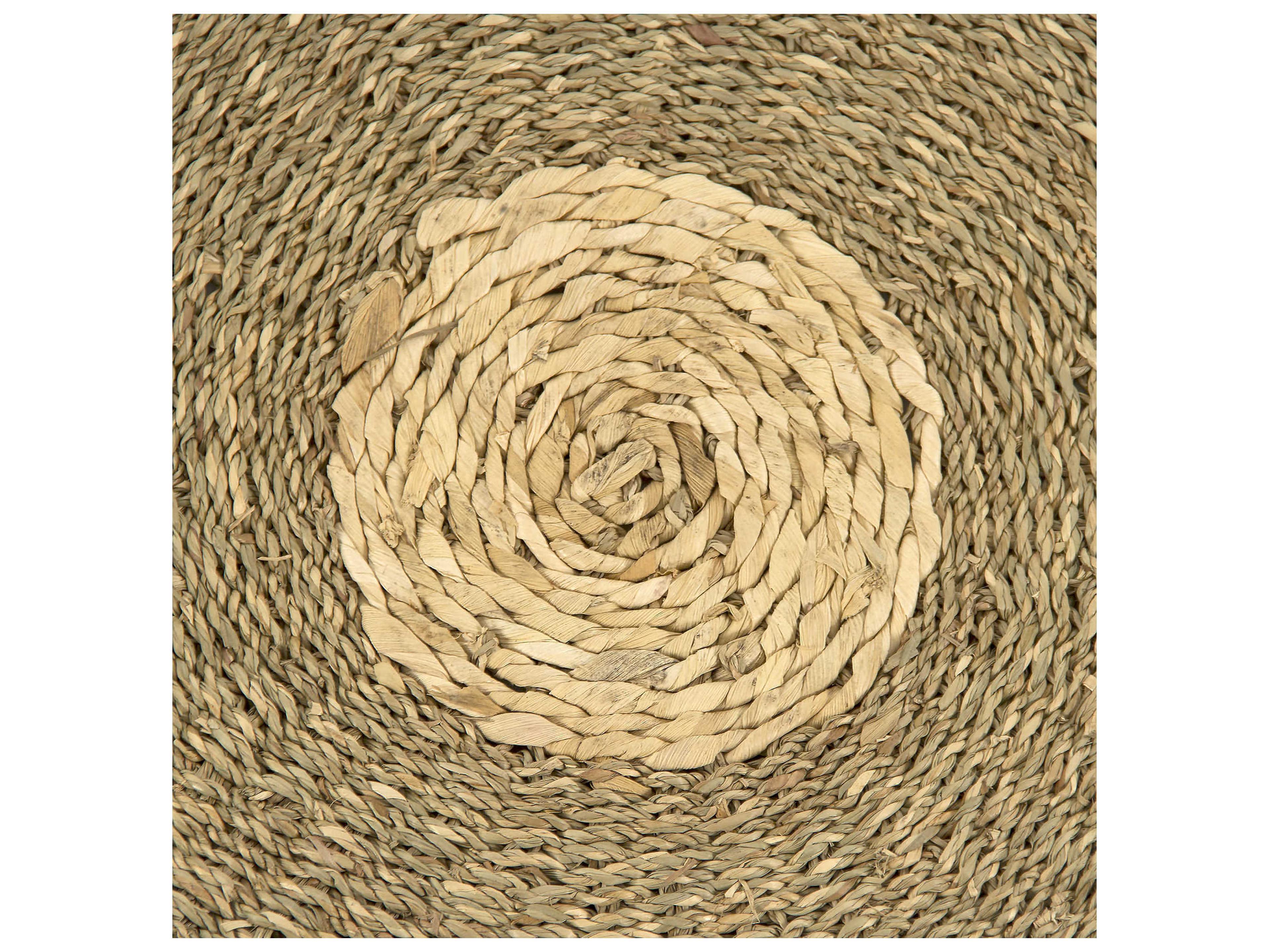 Zentique Braided Area Rug