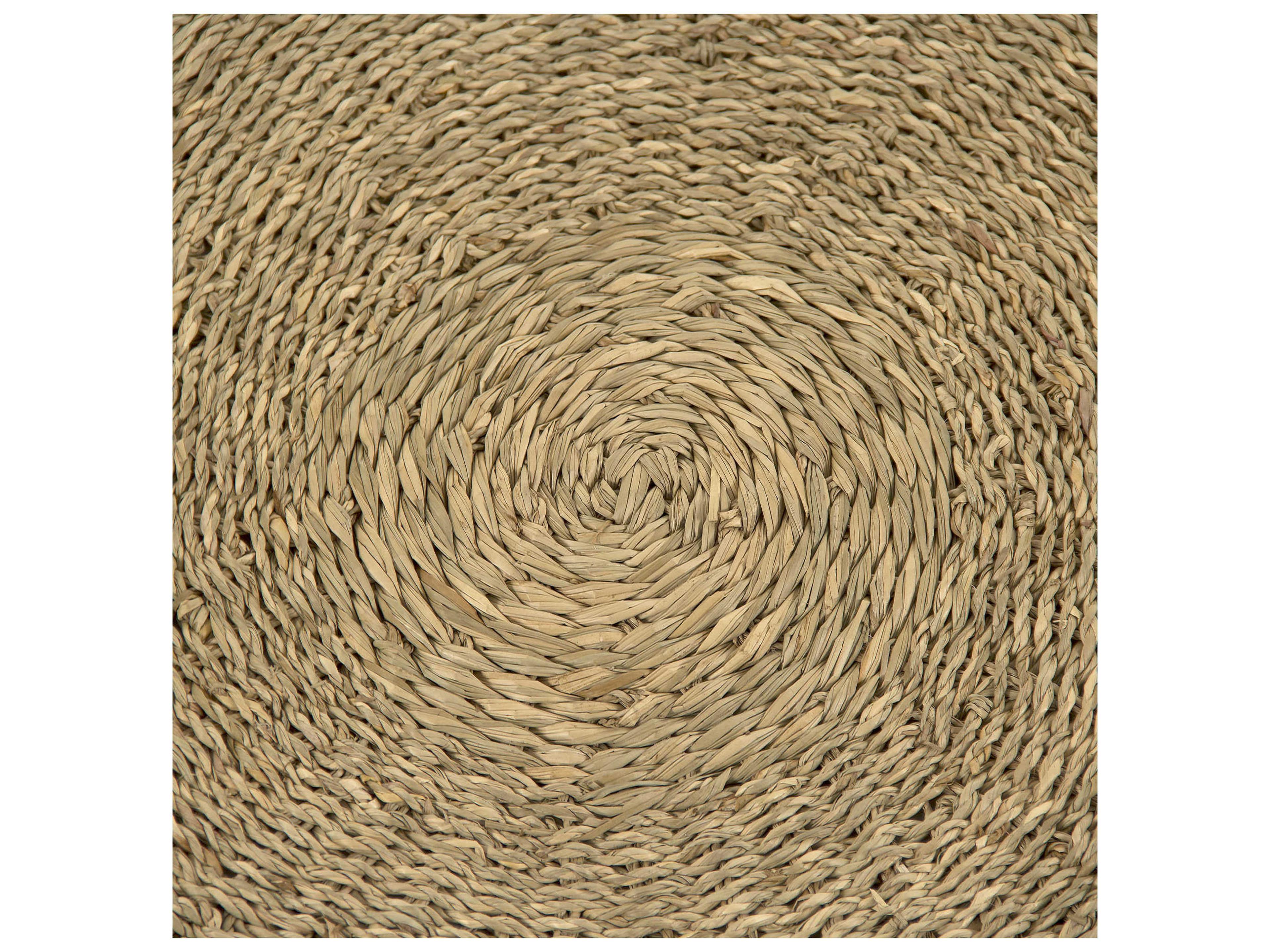 Zentique Braided Area Rug