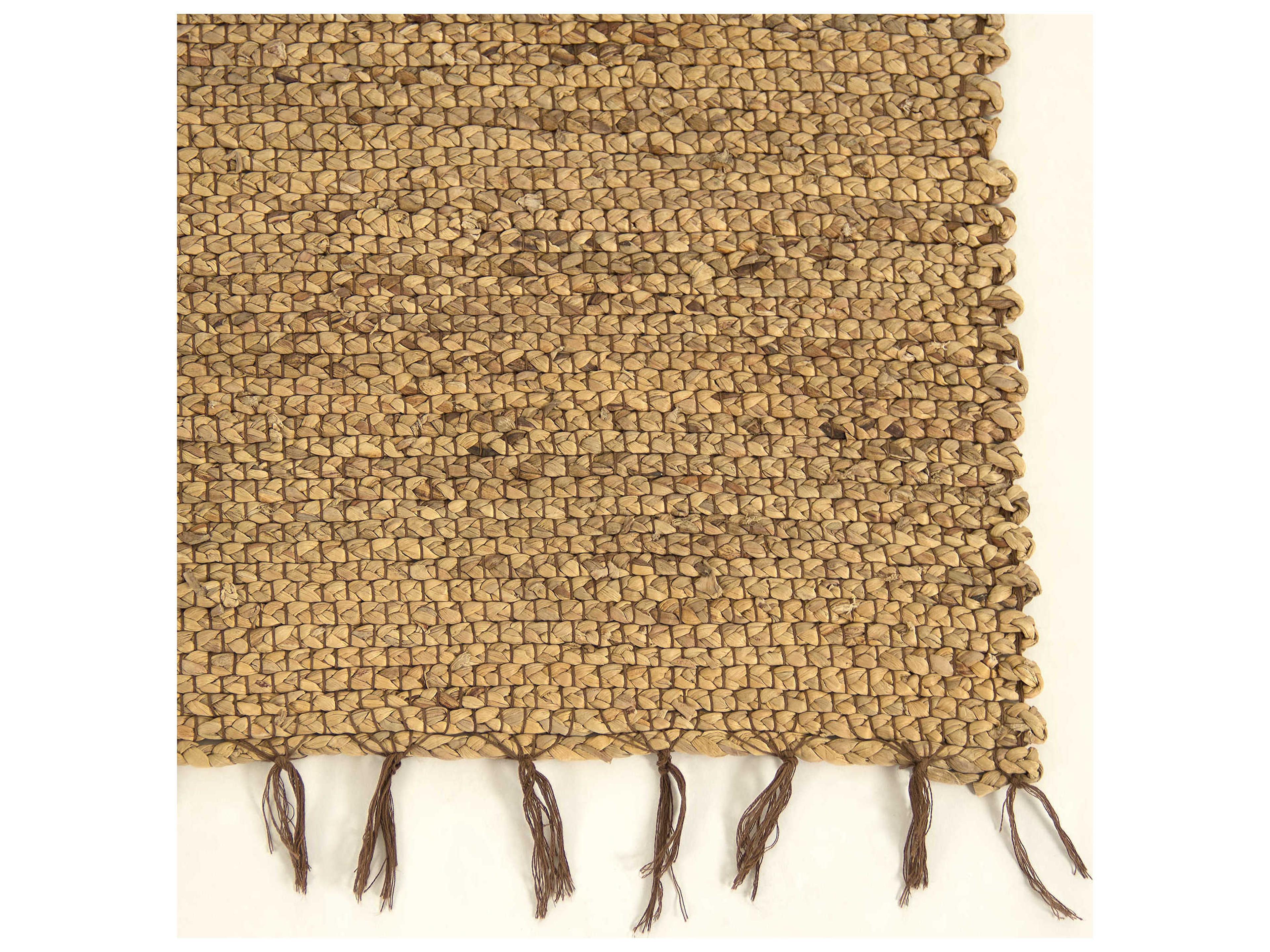 Zentique Braided Area Rug