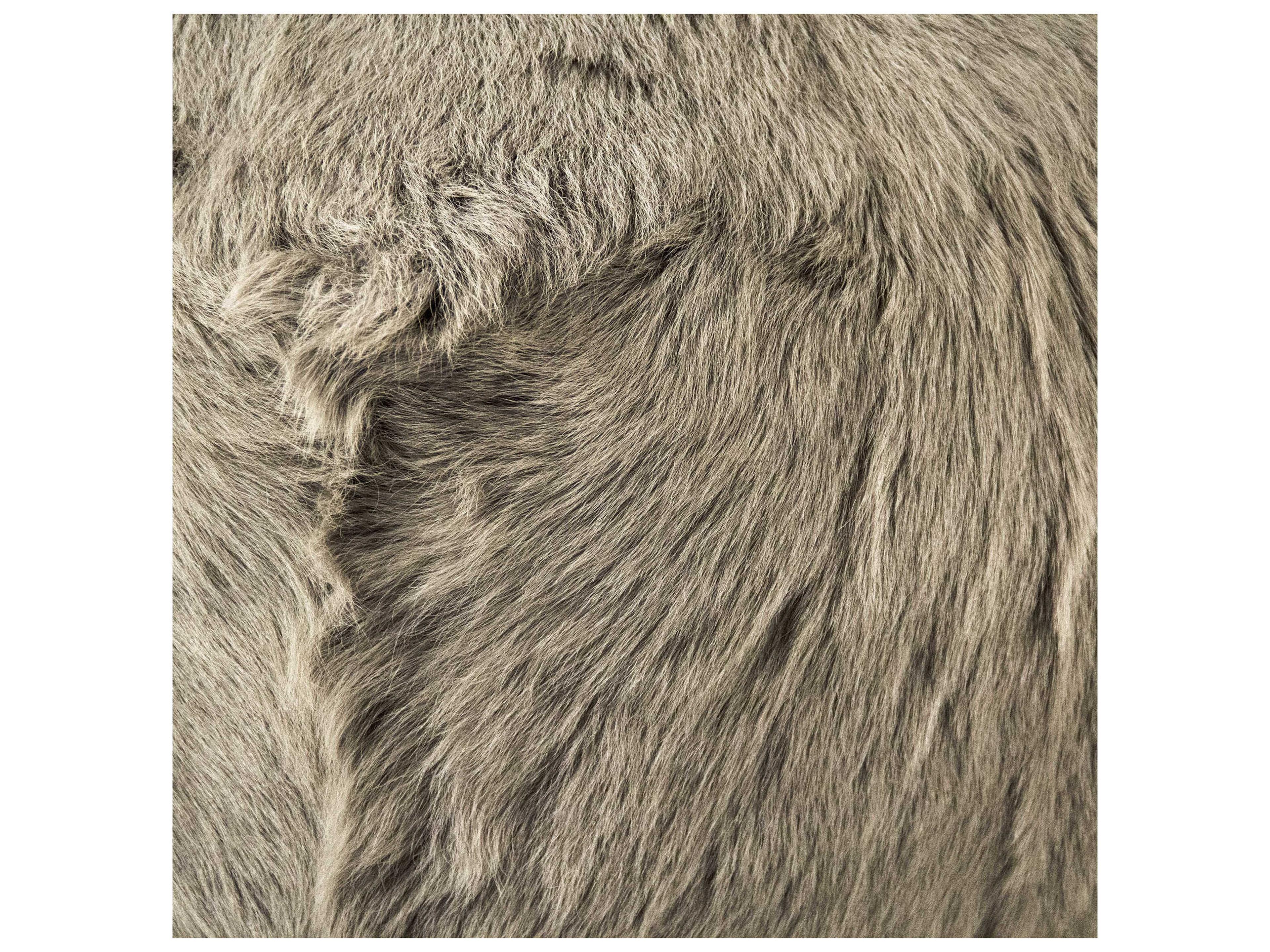 Zentique Light Grey Upholstered Ottoman