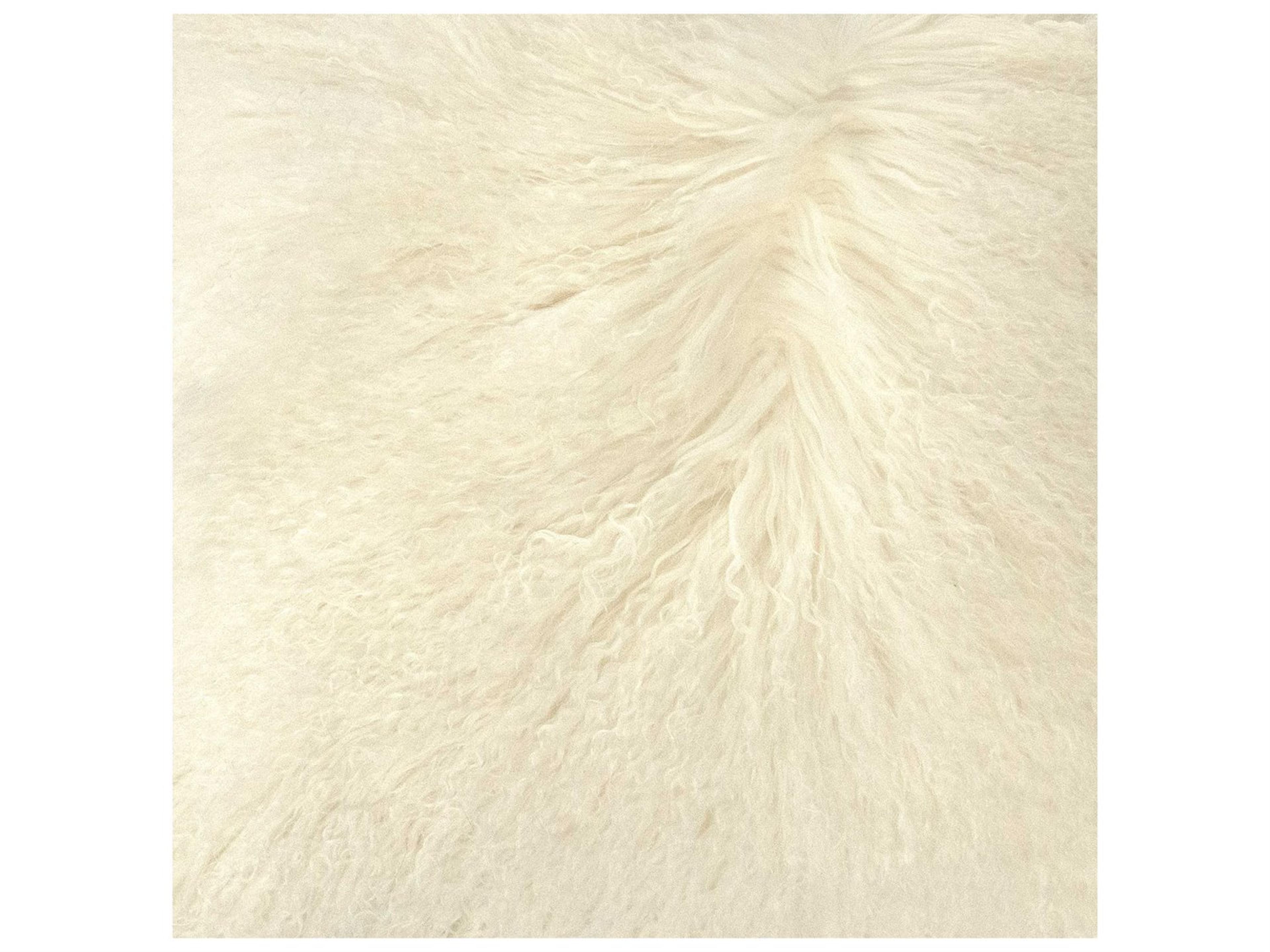 Zentique Tibetan Ivory 20" x 20" Lamb Fur Pillow
