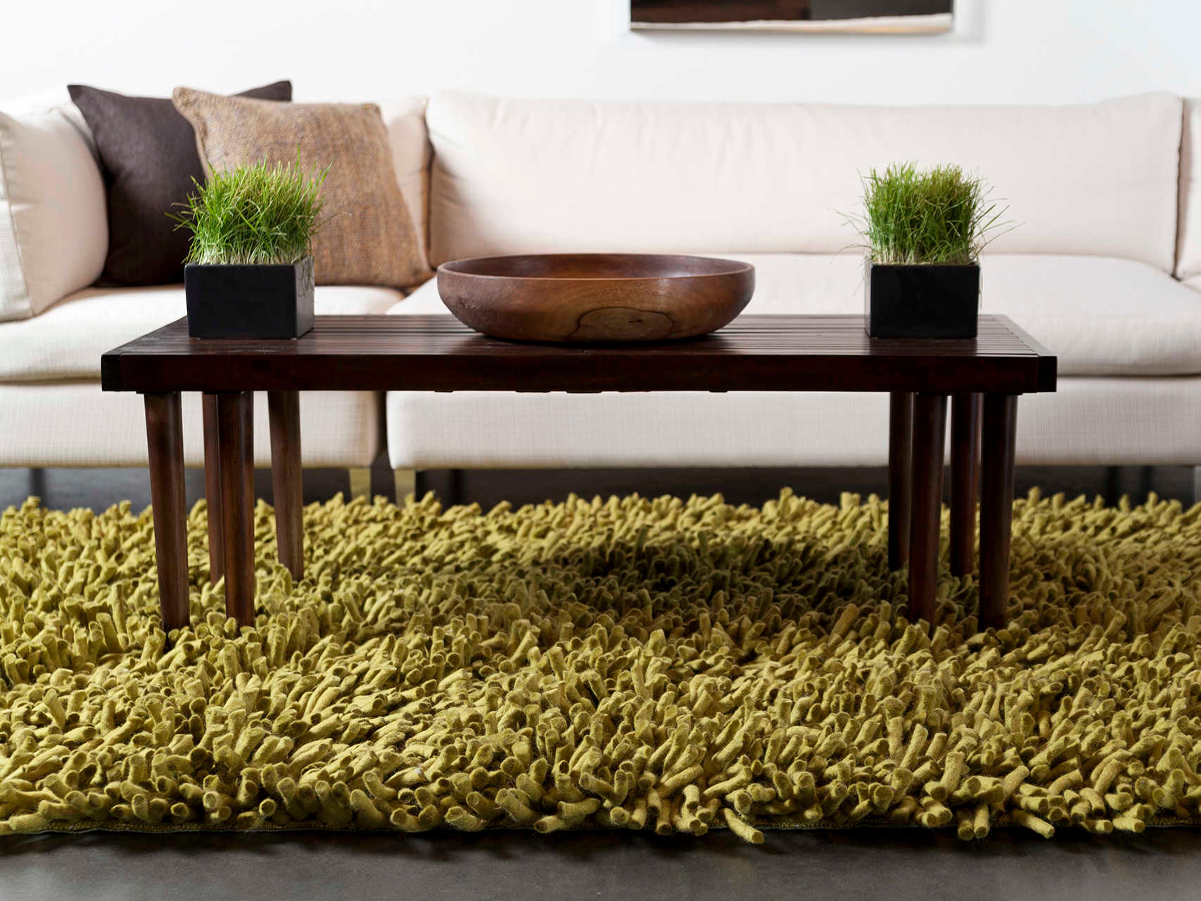 Chandra Montaro Shag Area Rug