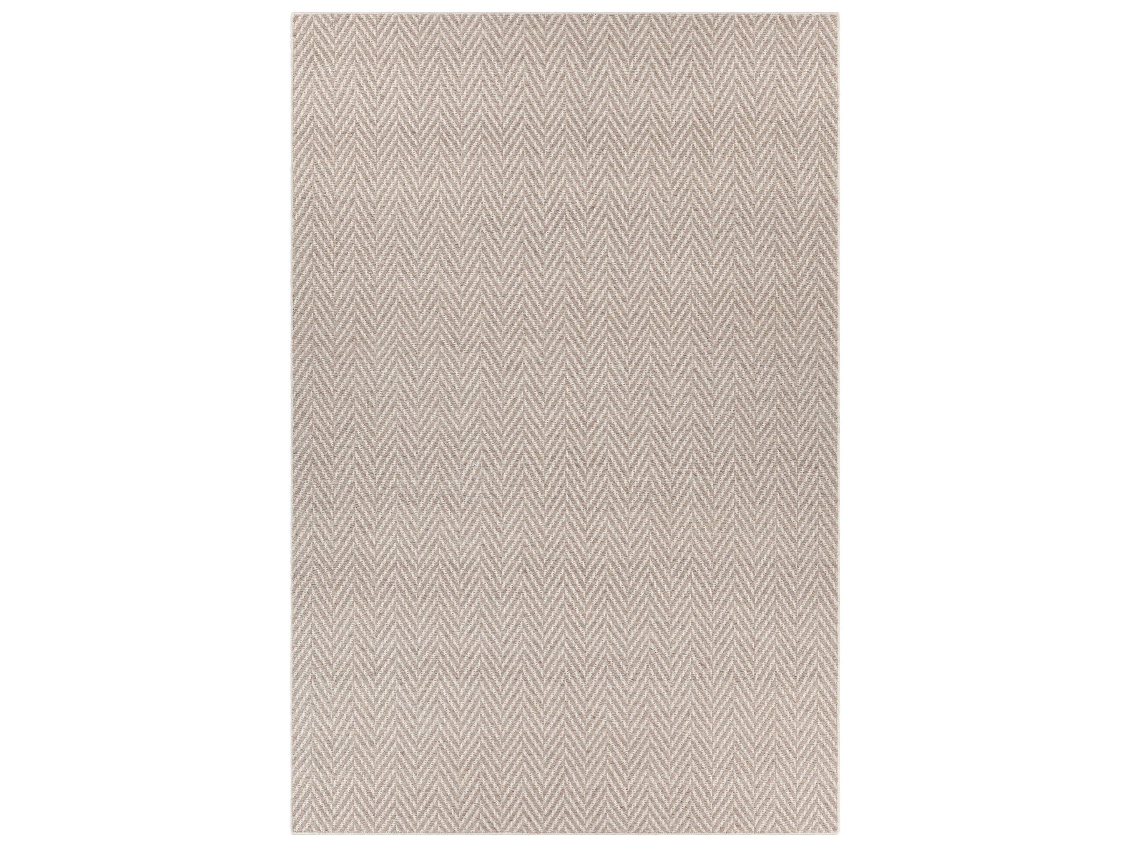 Chandra Paisley Chevron Area Rug