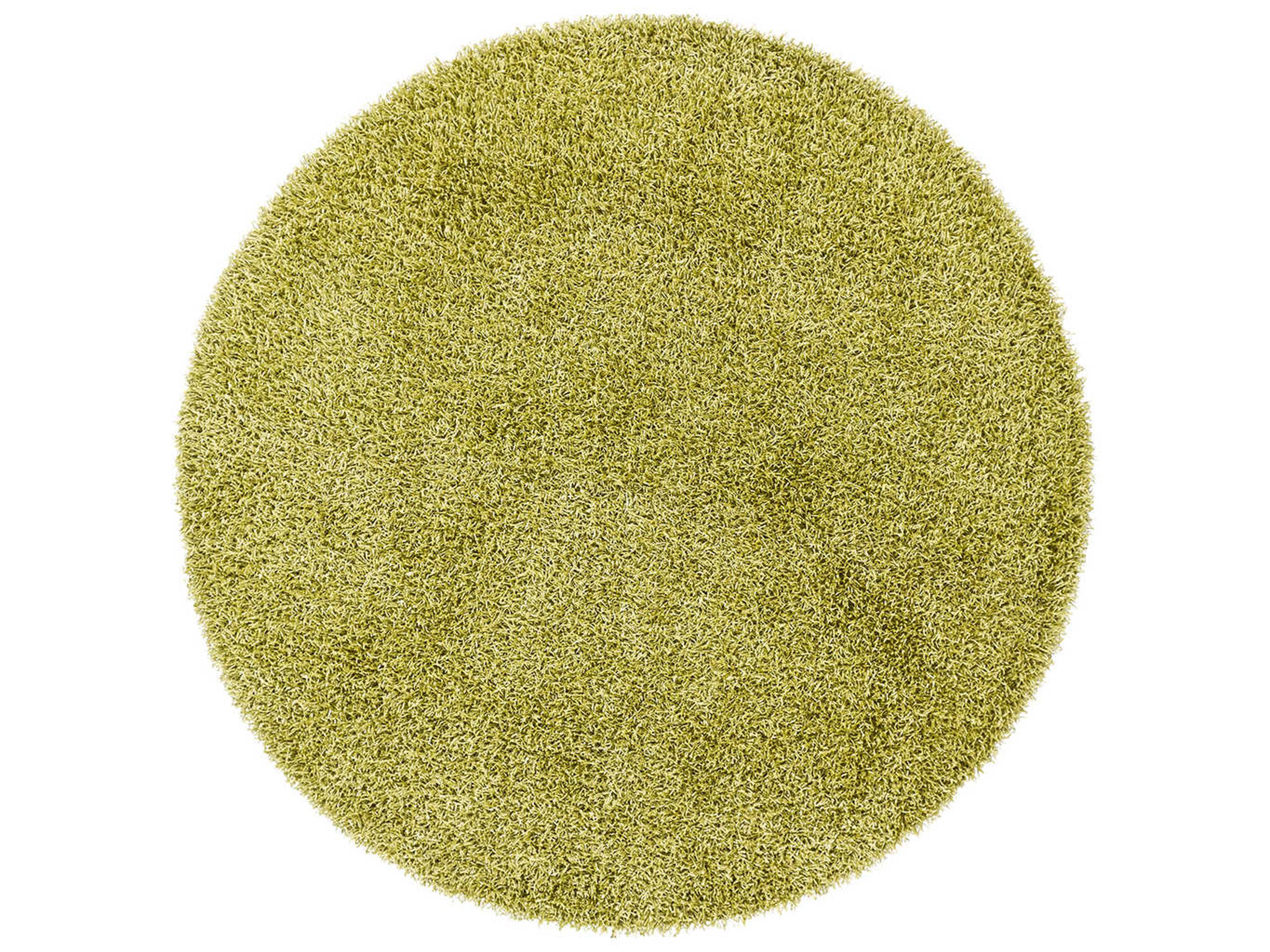 Chandra Zara Shag Area Rug