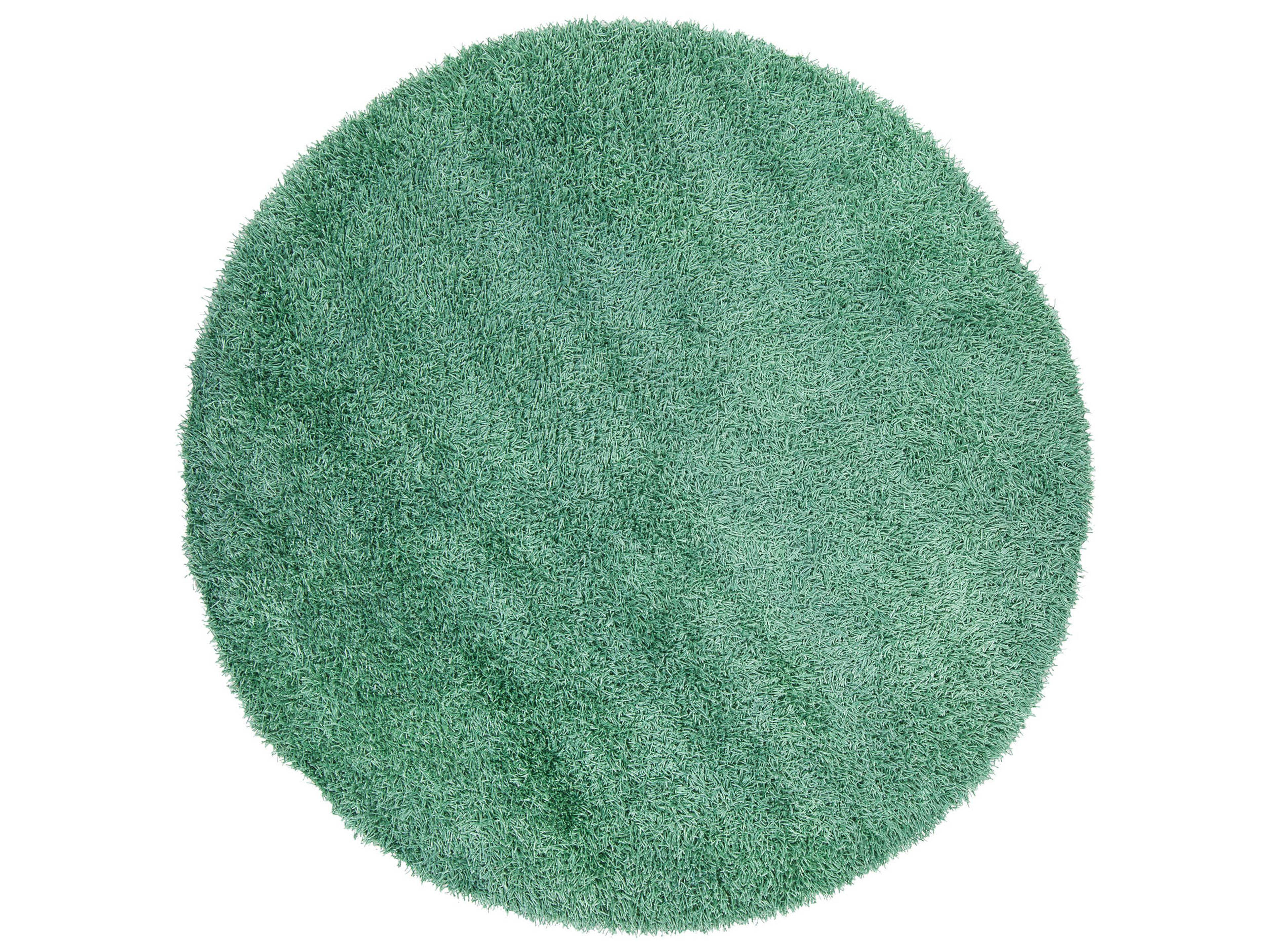 Chandra Zara Shag Area Rug