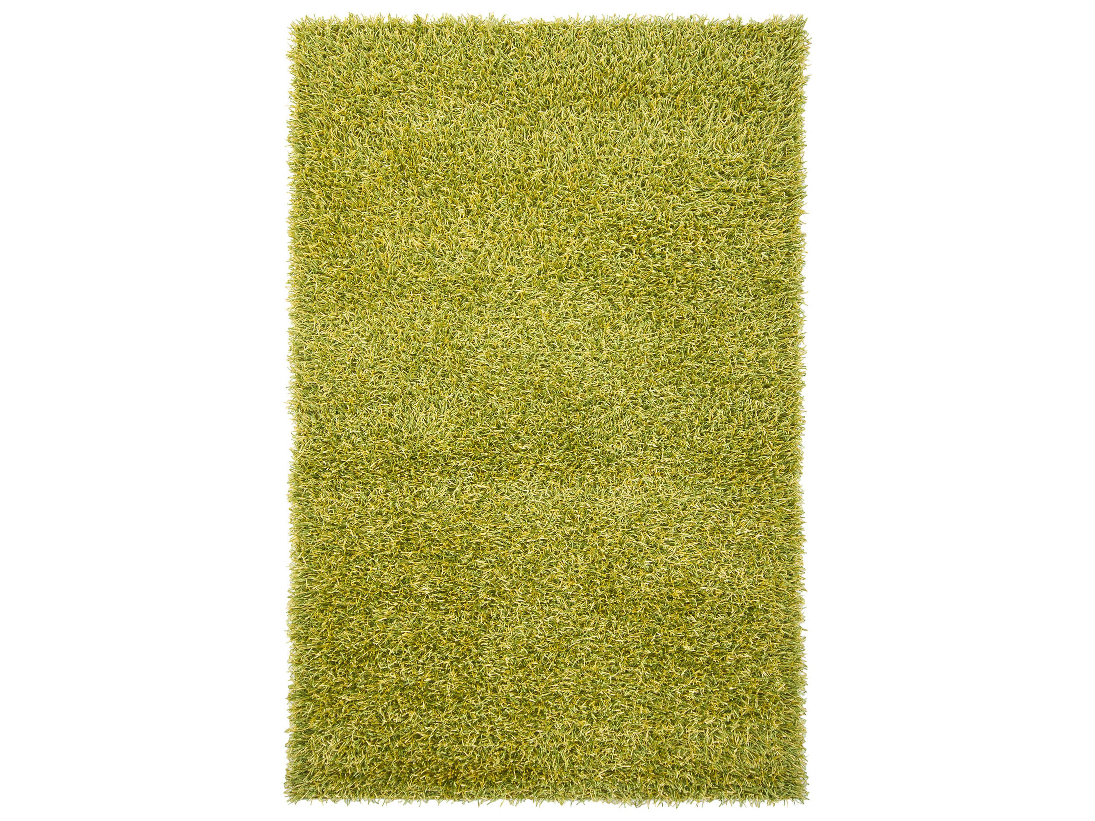 Zara Shag Area Rug
