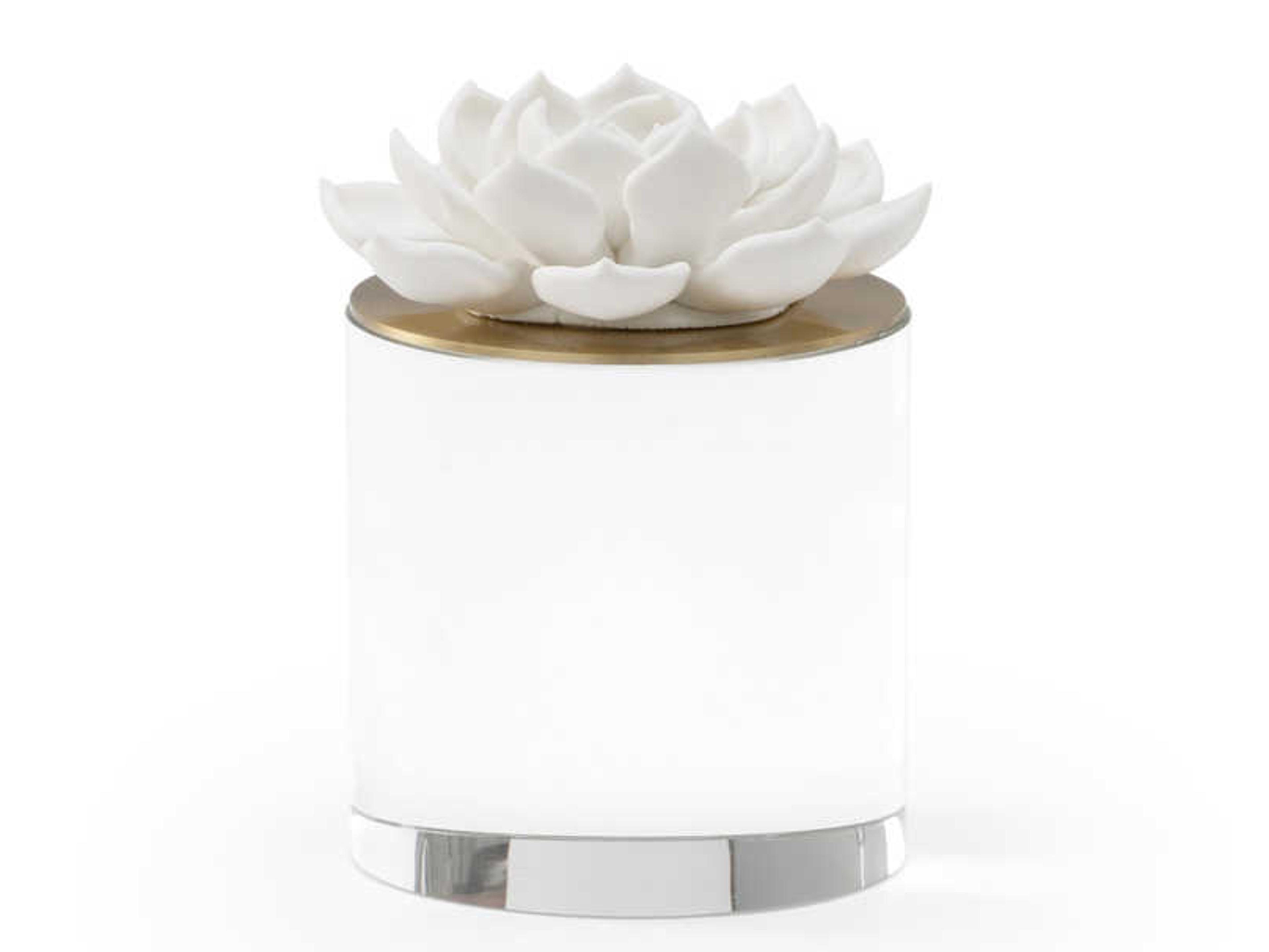 Matte White Antique Brass Clear Decorative Accent