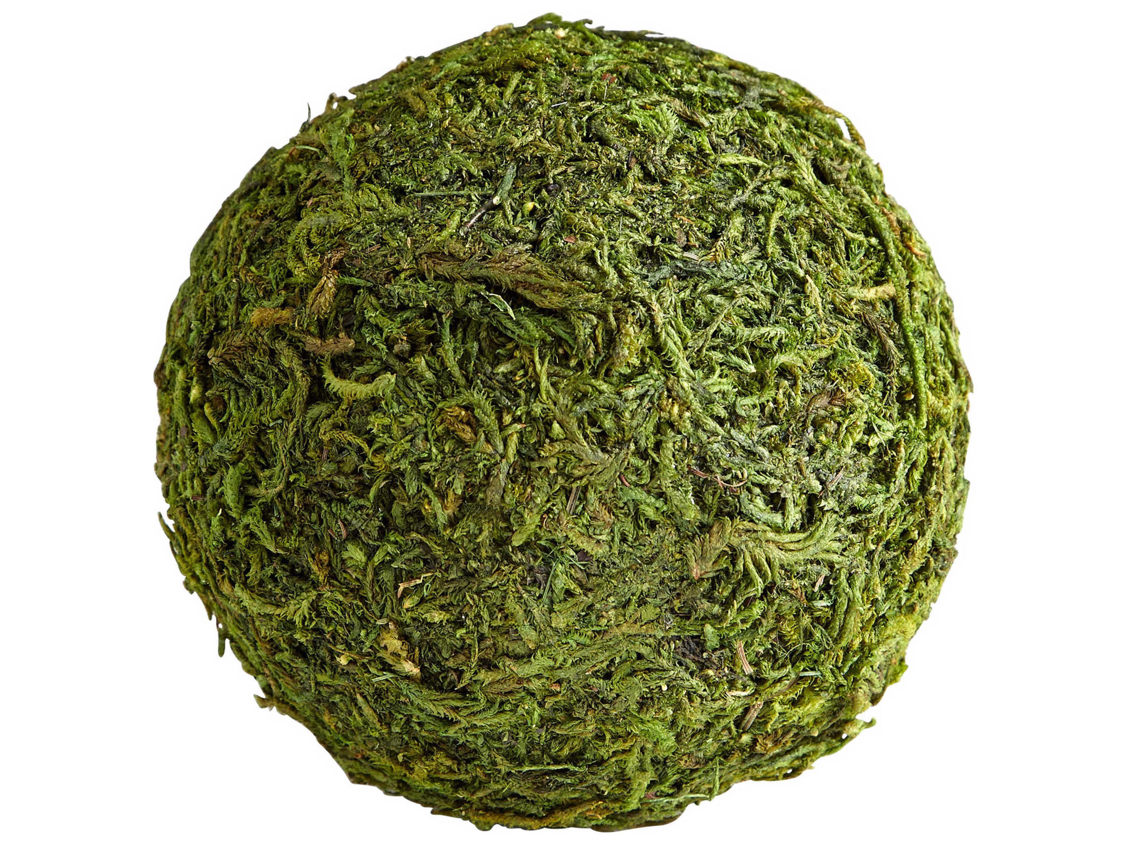 Cyan Design Bermuda Decorative Accent