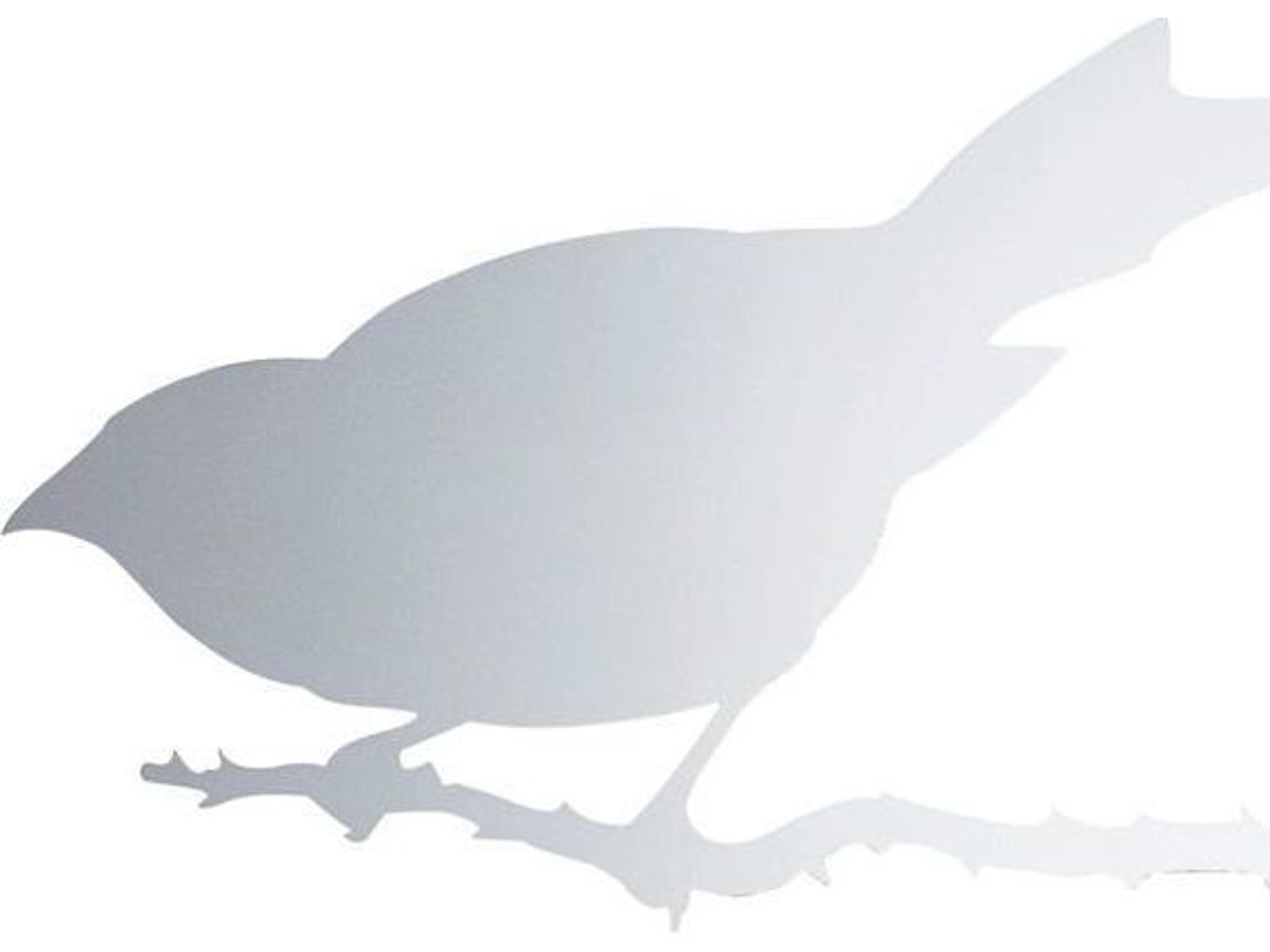 Ed Annink Taylor Bird Stainless Steel Mirror