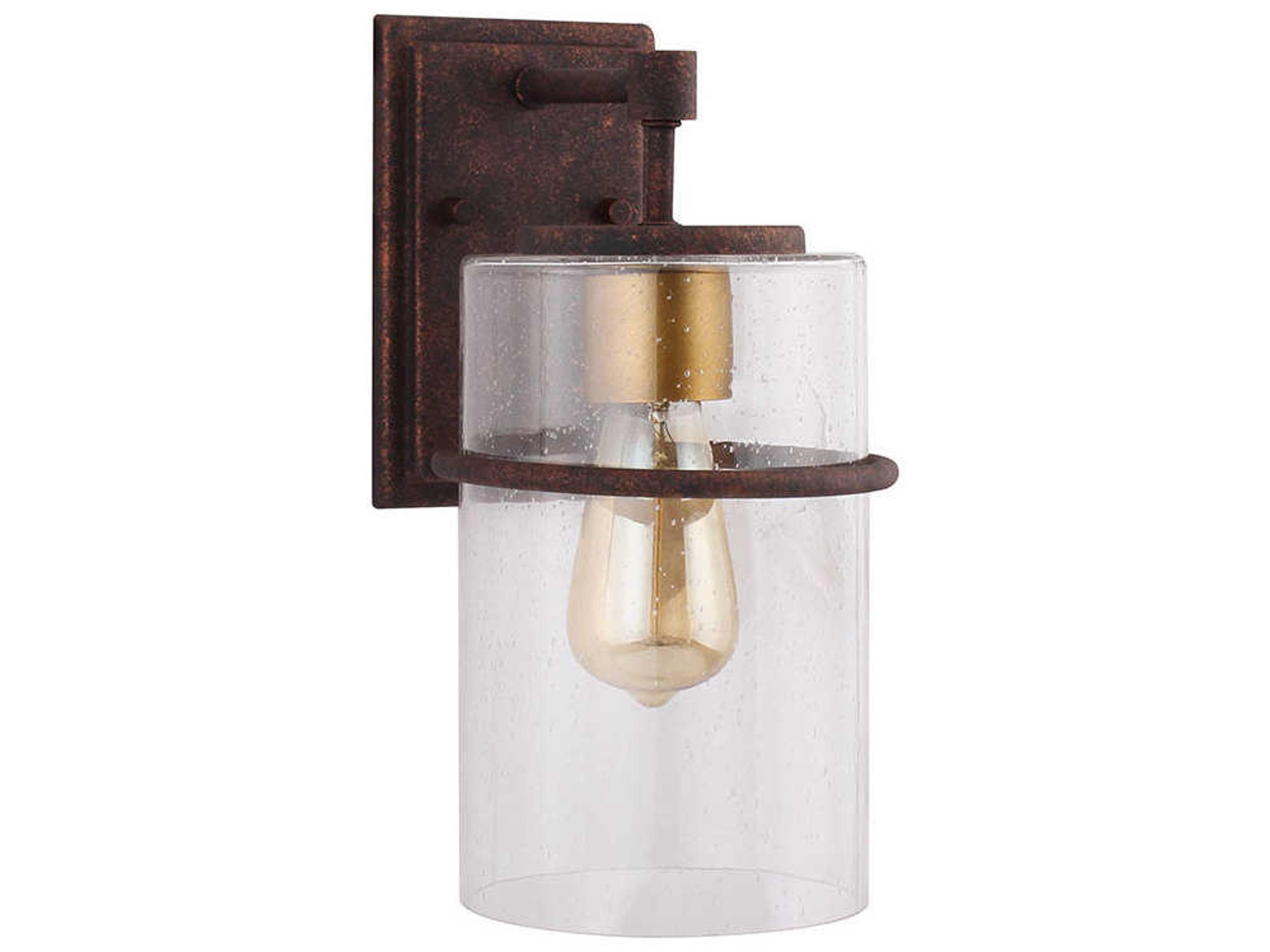 Brandel 1-Light Outdoor Wall Light