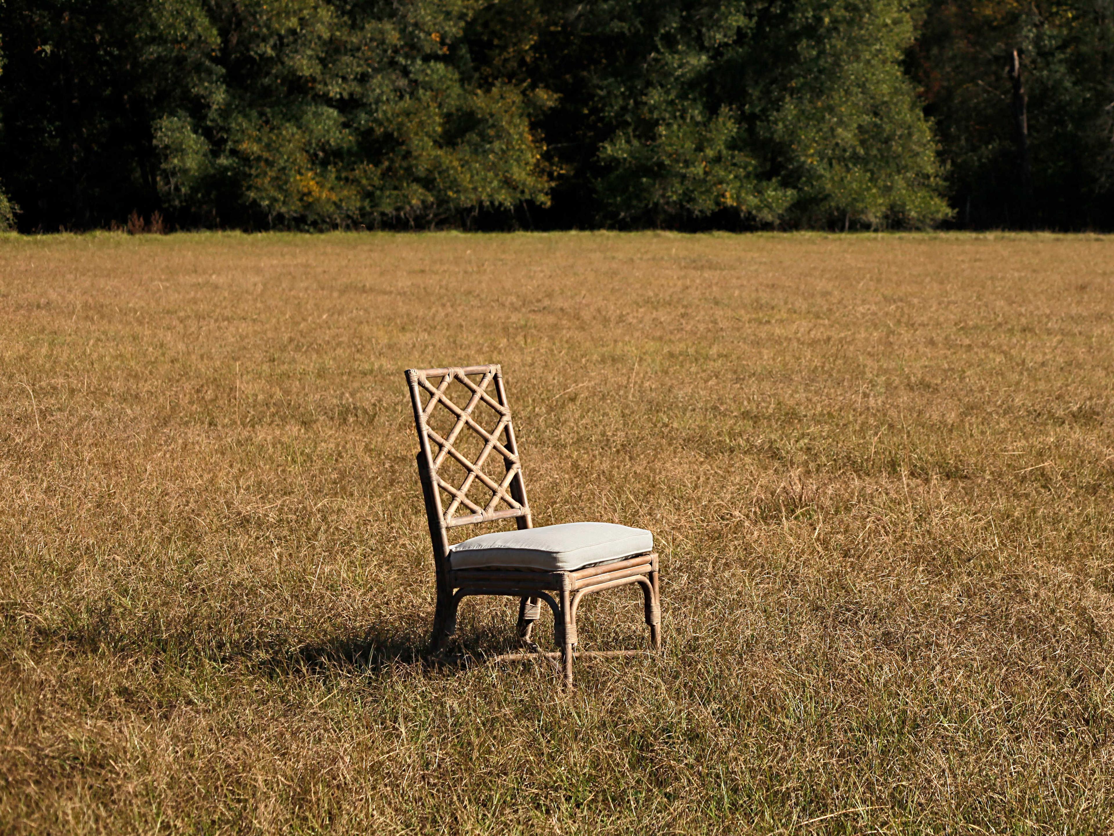 Gabby Kennedy Rattan Beige Upholstered Side Dining Chair
