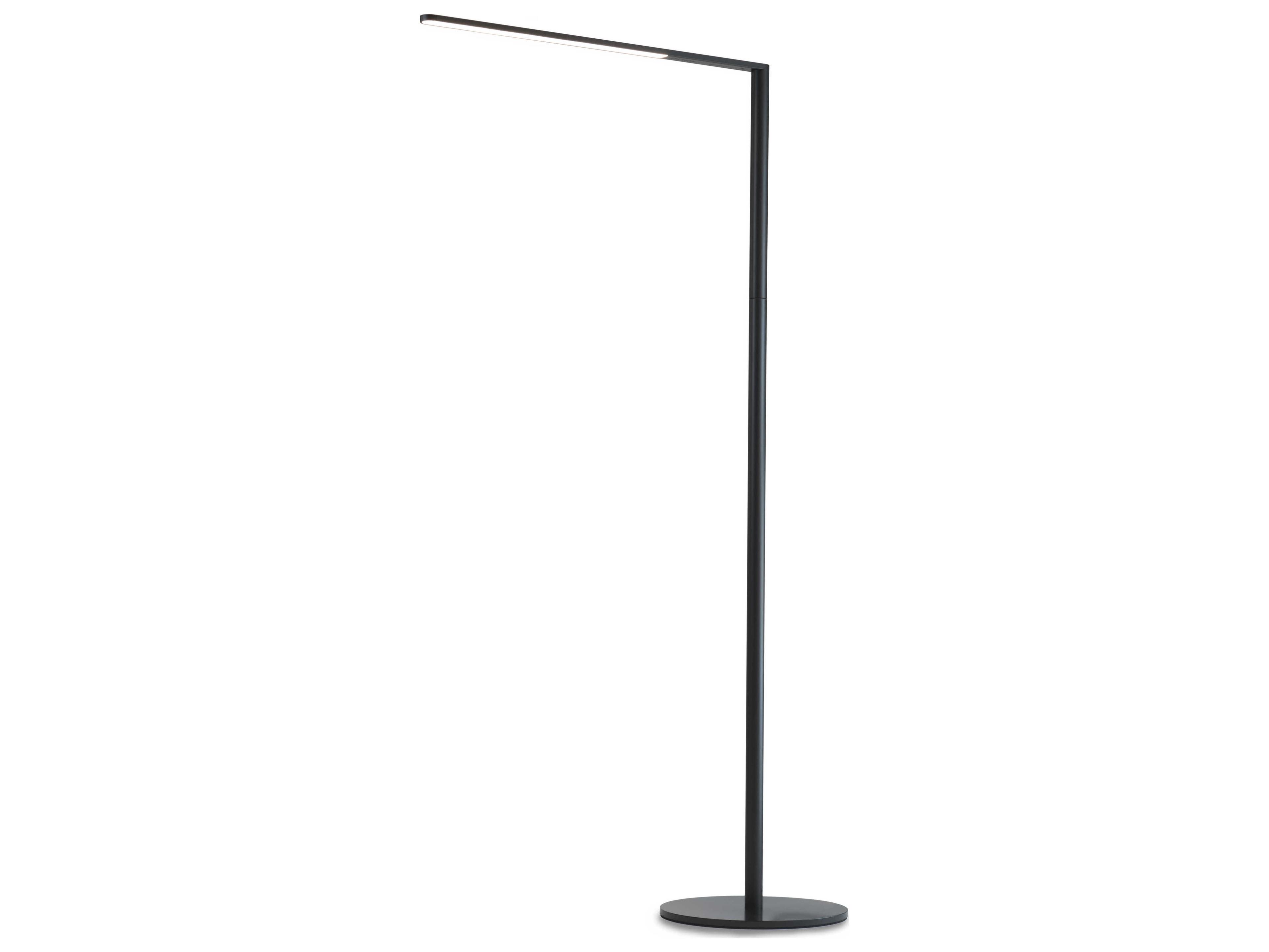 Lady7 LED Metallic Black Floor Lamp