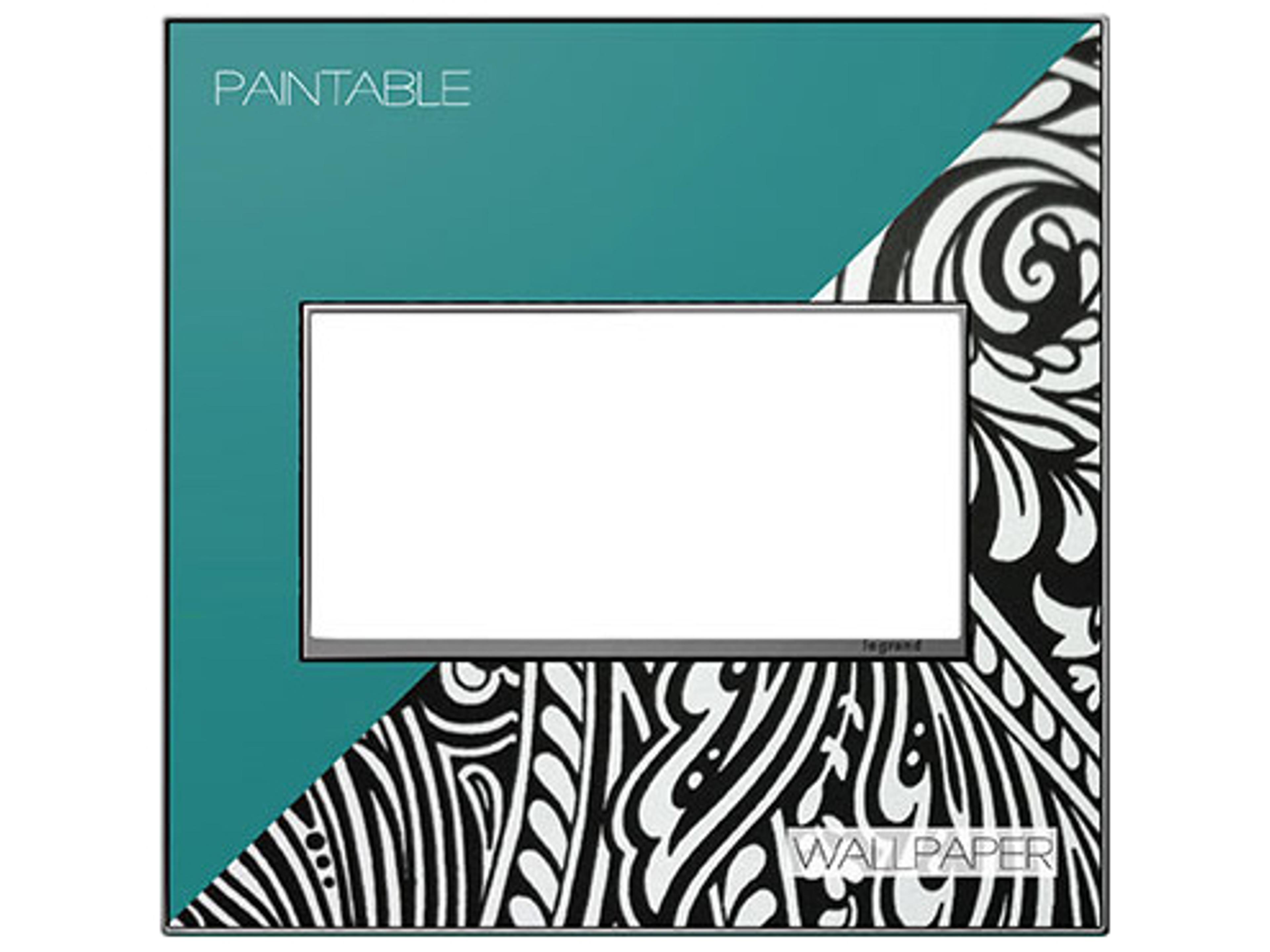 Real Materials Custom Two-Gang Wall Plate with Magnesium Trim