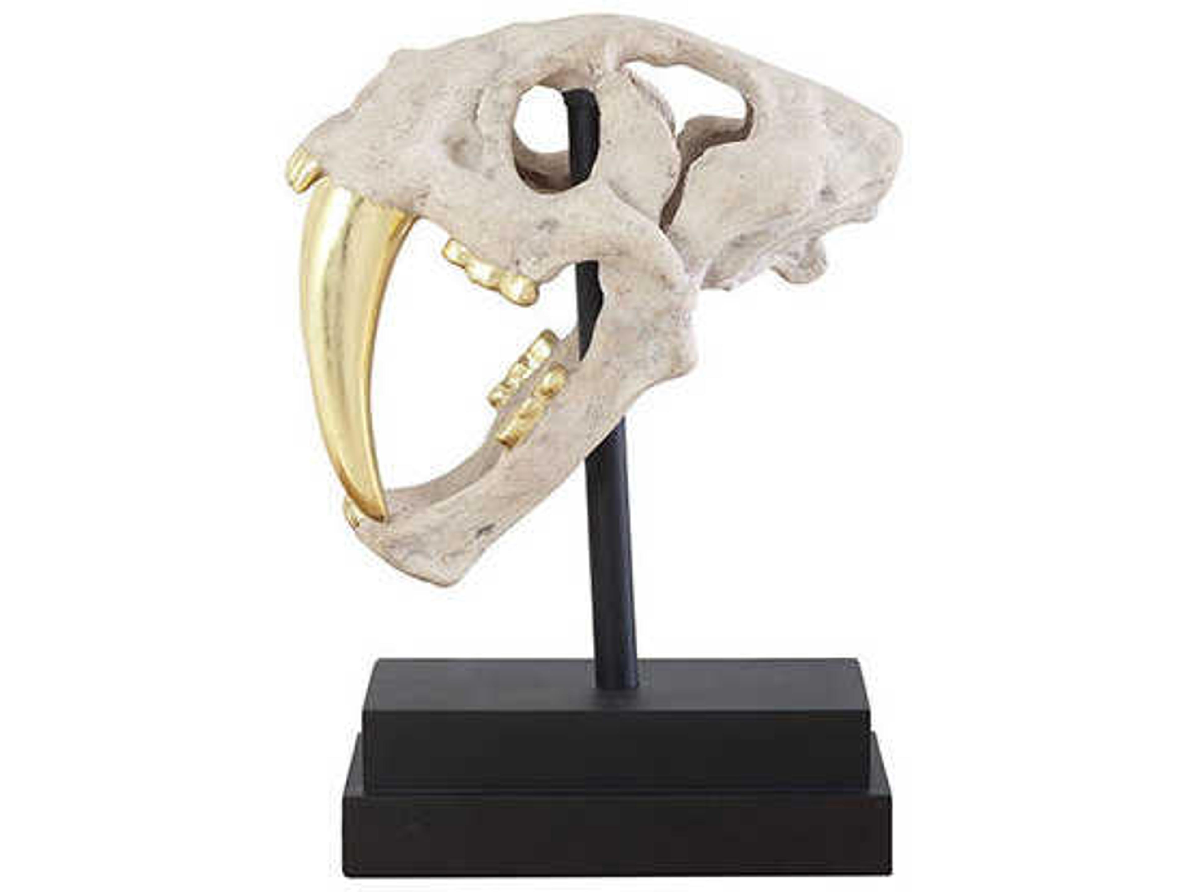 Jason Design Roman Stone / Gold Leaf Saber Tooth Tiger Skull Sculpture