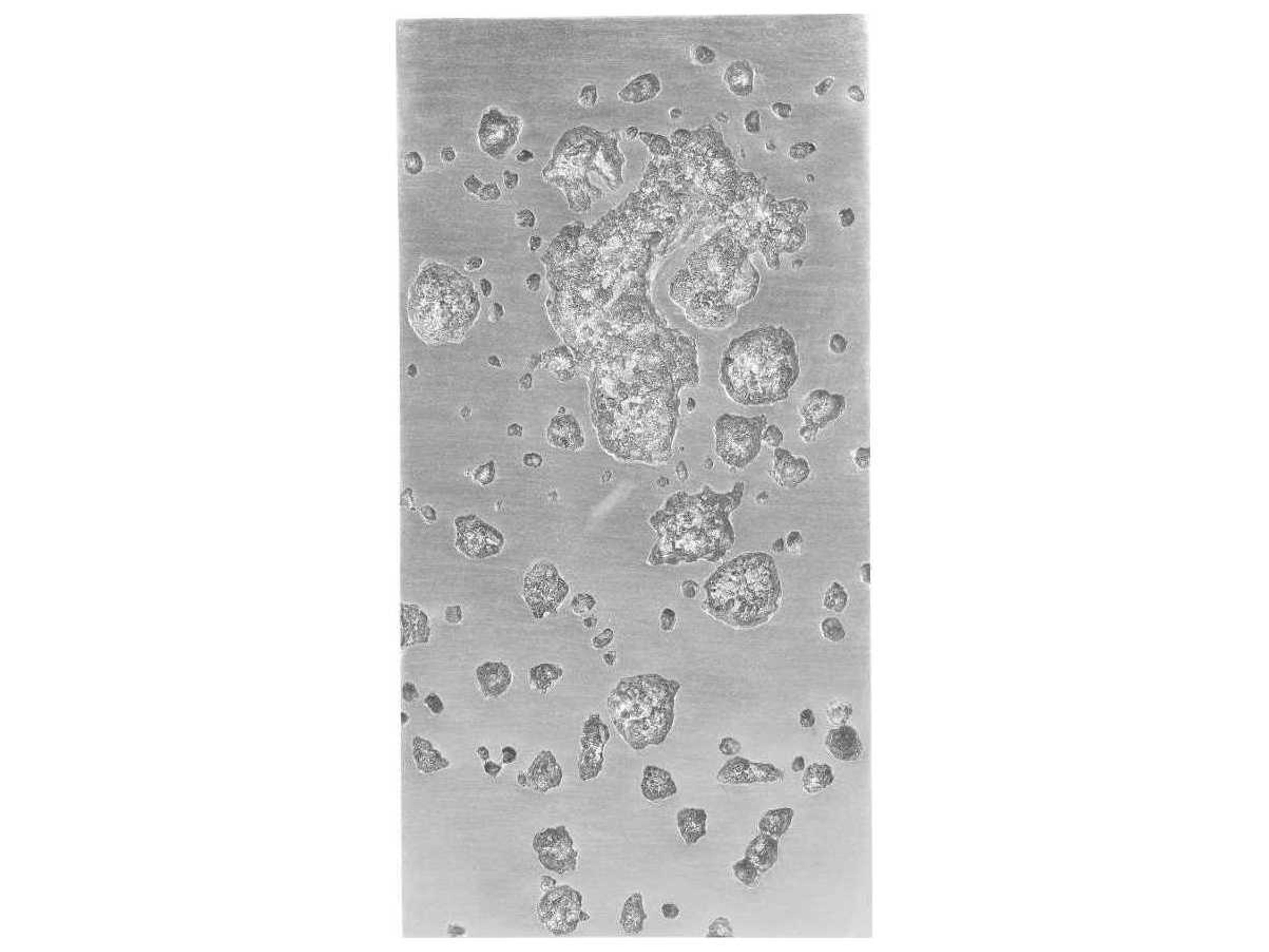 Phillips Collection Metal Wall Art